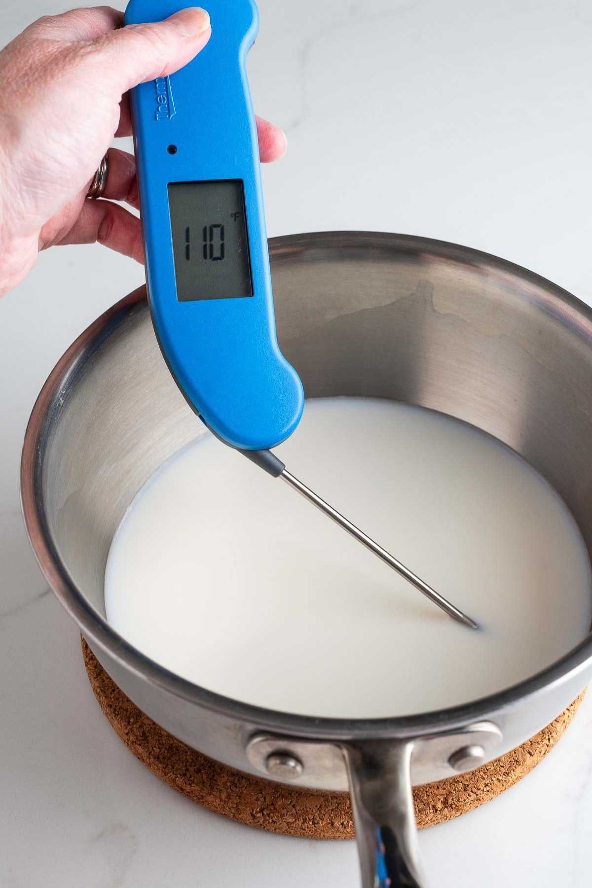 Milk and water in saucepan warmed to 110 degrees fahrenheit using a blue digital thermometer.