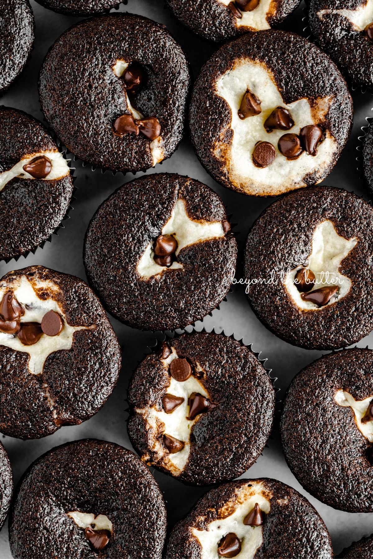 Cream cheese filled chocolate cupcakes topped with semi-sweet chocolate chips placed tightly together on a light gray background.