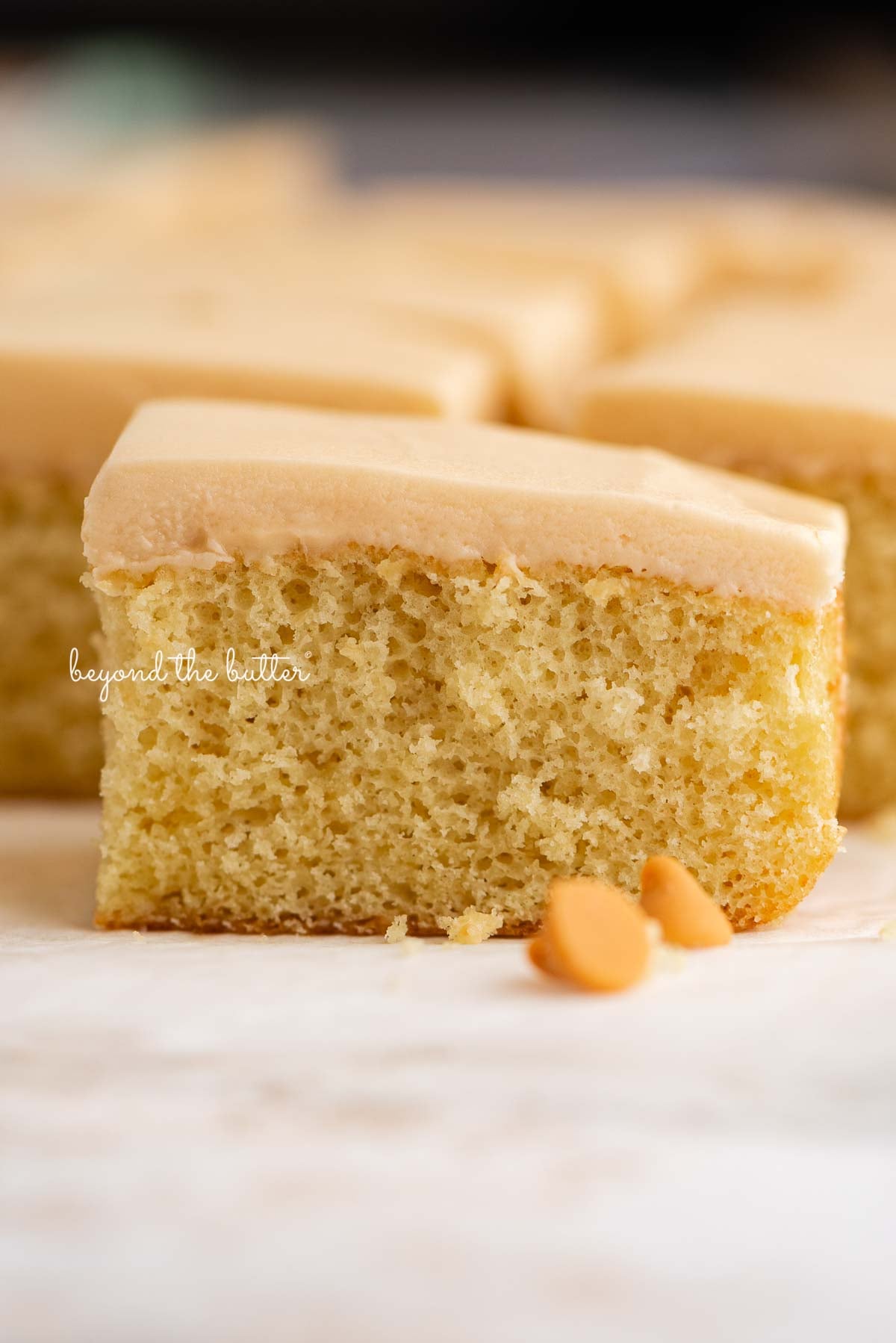 Rectangular slices of butterscotch krimpets placed on a parchment paper lined background with two butterscotch chips in foreground.