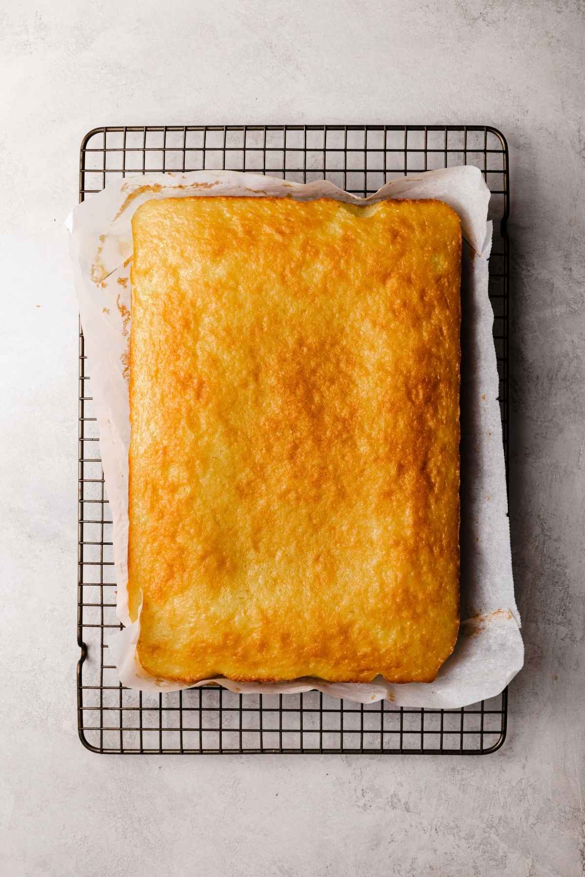 Vanilla sponge cake cooling on a parchment paper lined cooling rack on a white and grey textured background.