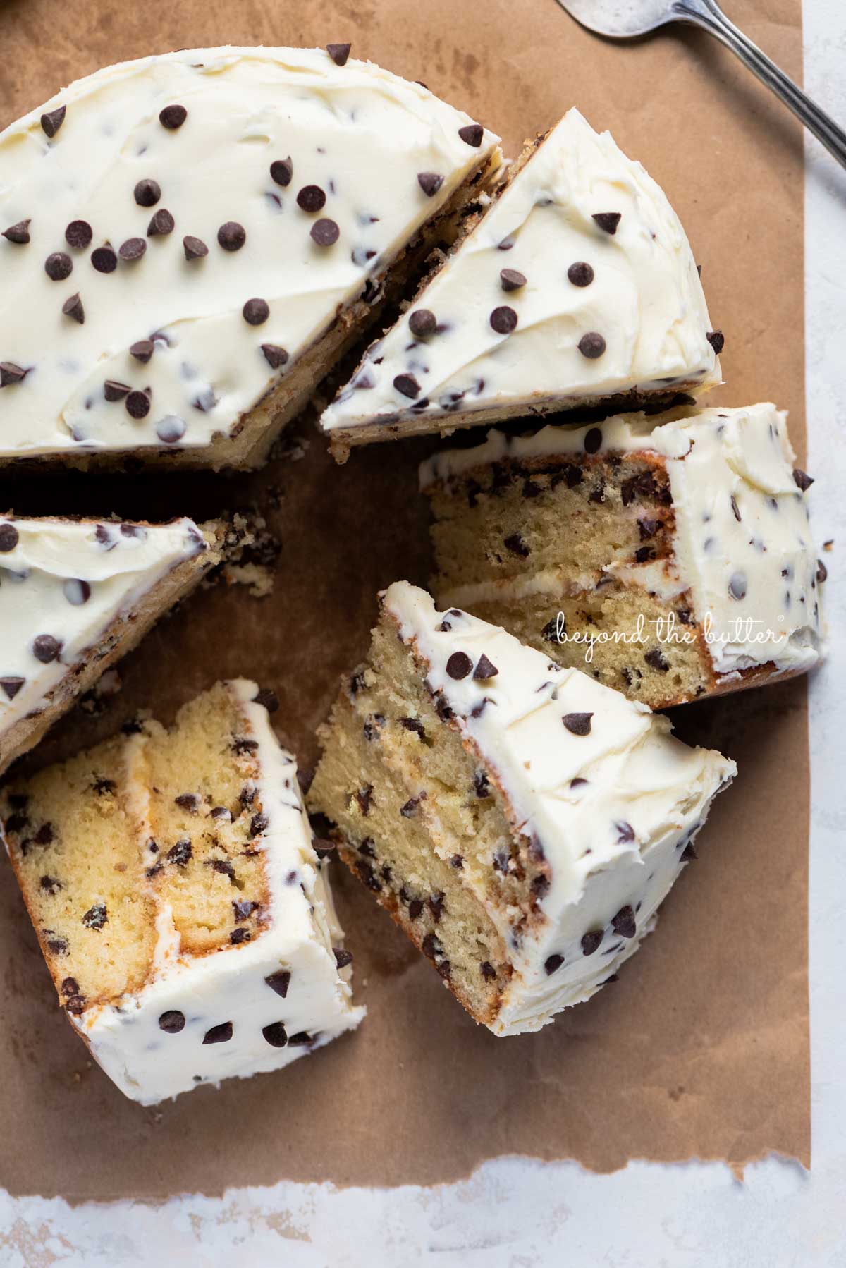 Slices of 2 layer chocolate chip cake on it's side on a brown paper background | © Luyiz®