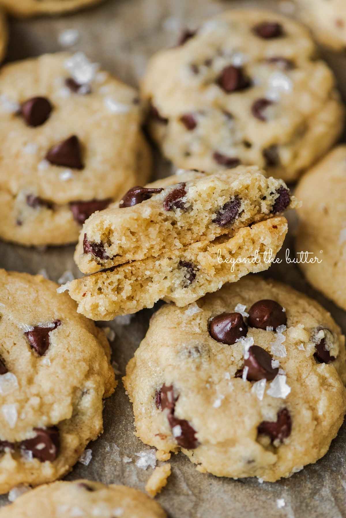 Buttery Salted Chocolate Chip Shortbread Cookies