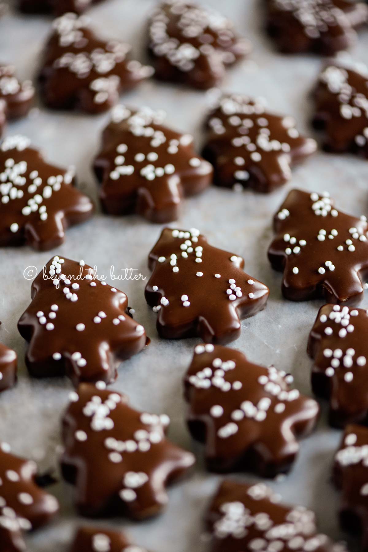 Chocolate Dipped Homemade Graham Cracker Cookies