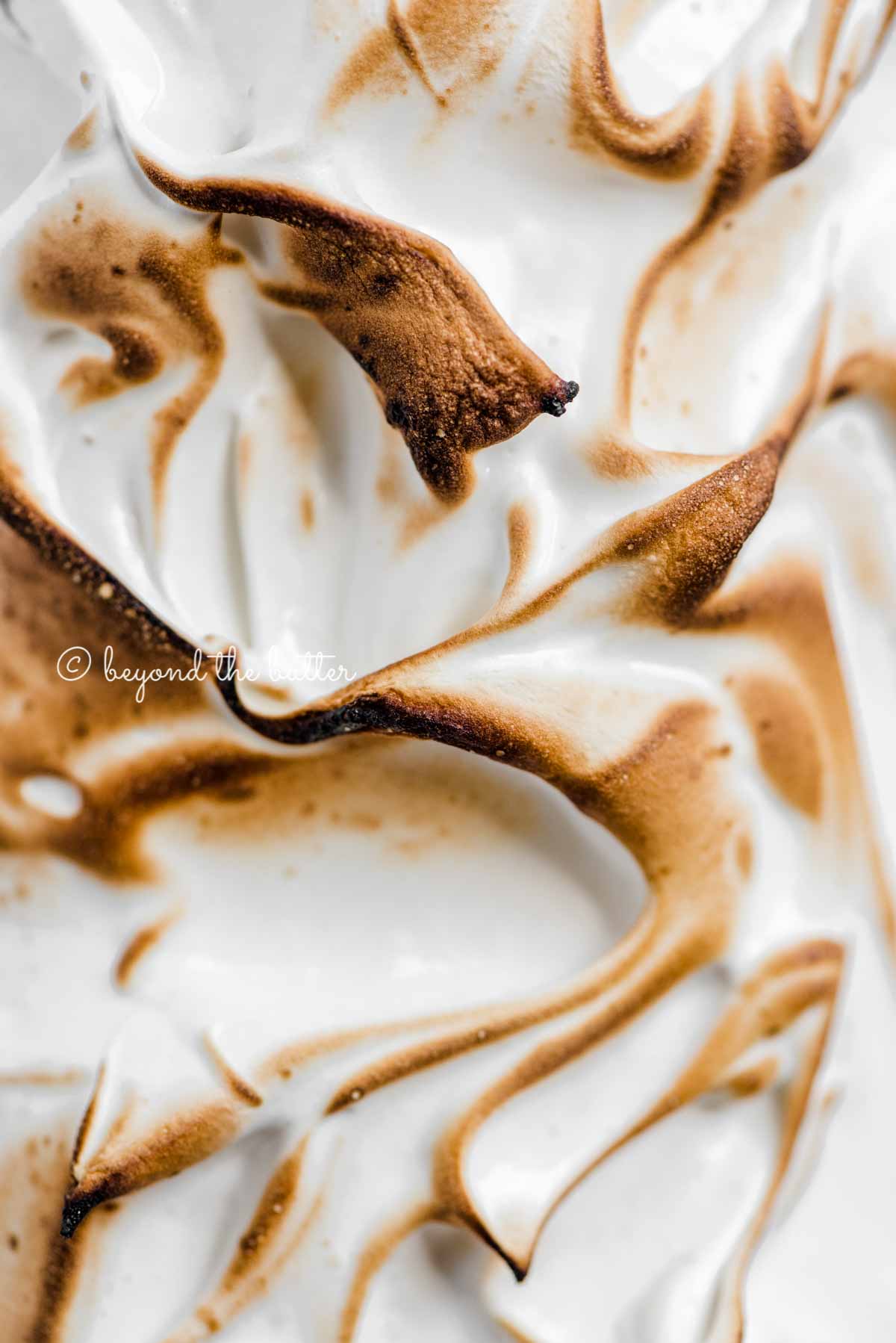 Close up image of toasted marshmallow meringue topping | All Images © Luyiz™