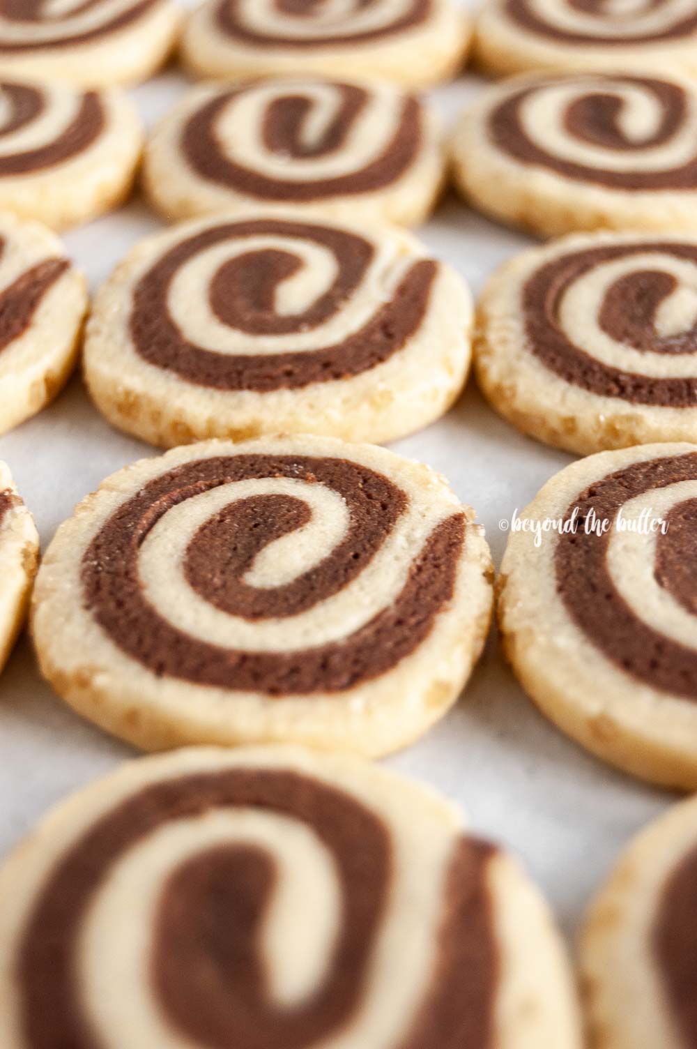 Angled image of Chocolate Pinwheel Cookies in rows | All images © Luyiz™