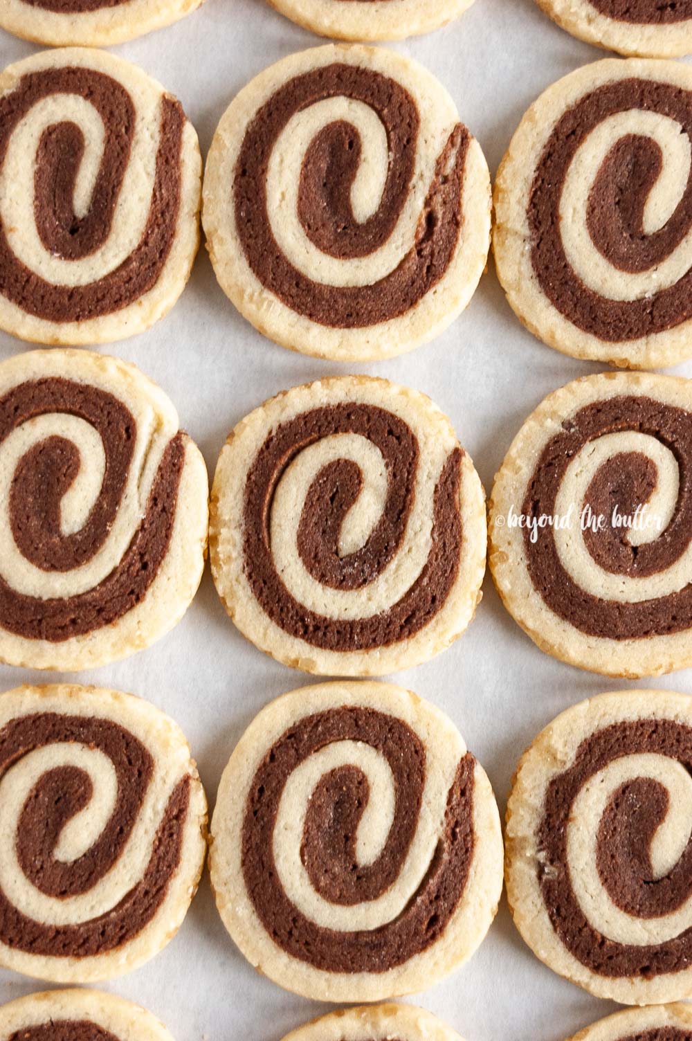 Overhead image of Chocolate Pinwheel Cookies in rows | All images © Luyiz™