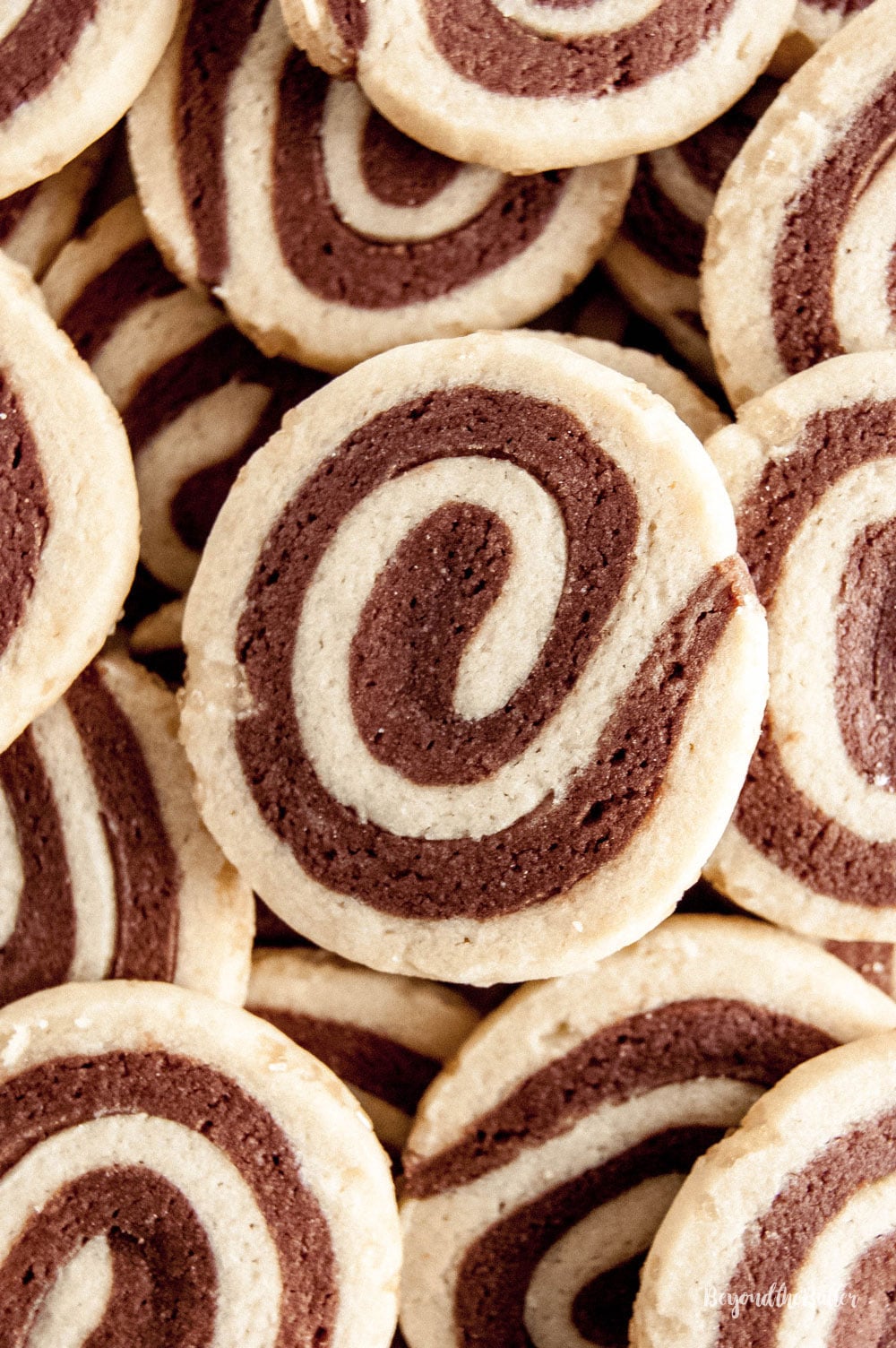 Swirled Chocolate and Vanilla Pinwheel Cookies