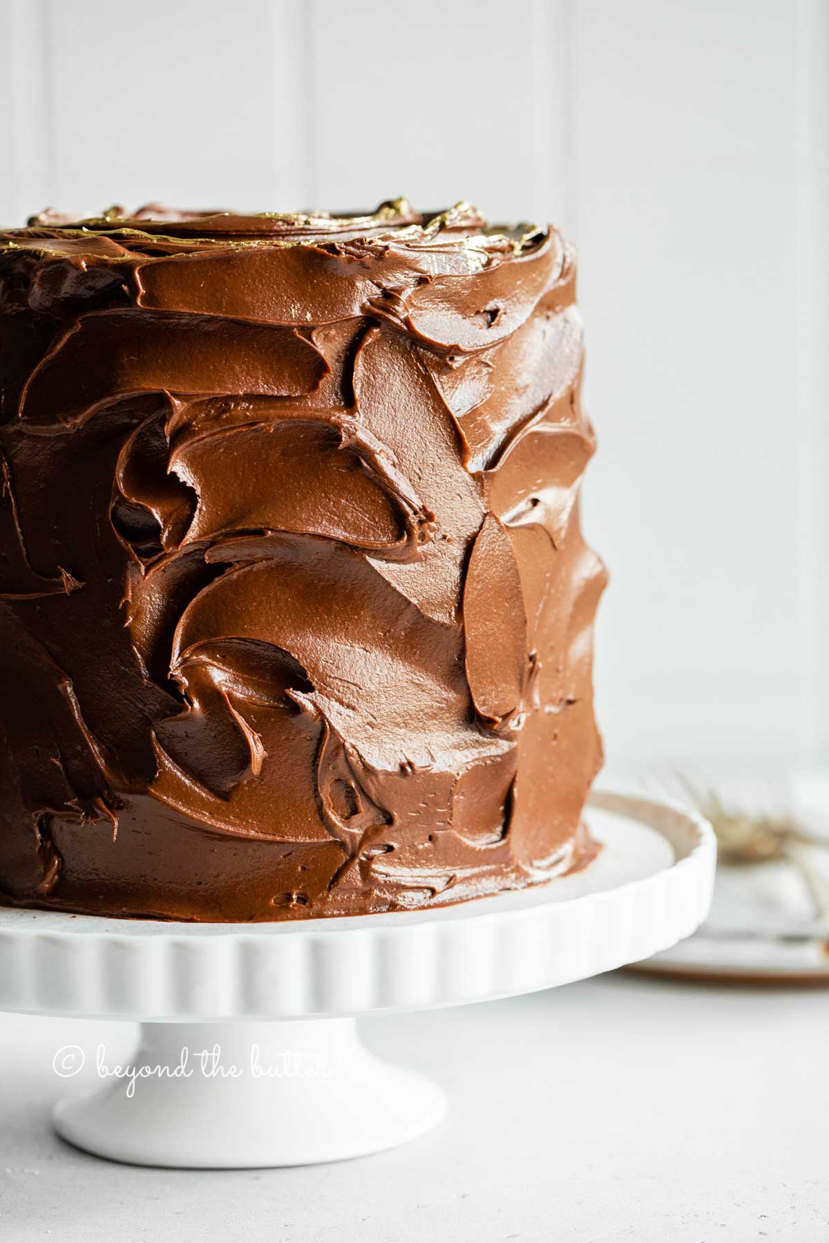 Image of chocolate zucchini cake with chocolate chips on a white cake stand | All Images © Luyiz™