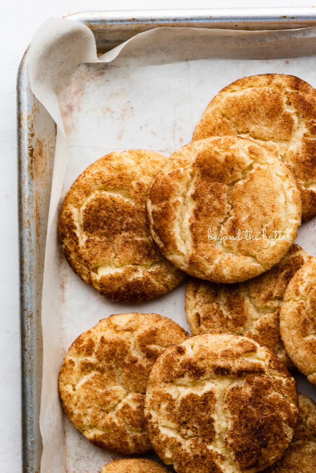 Randomly placed snickerdoodle cookies on a parchment paper lined baking sheet | © Luyiz®
