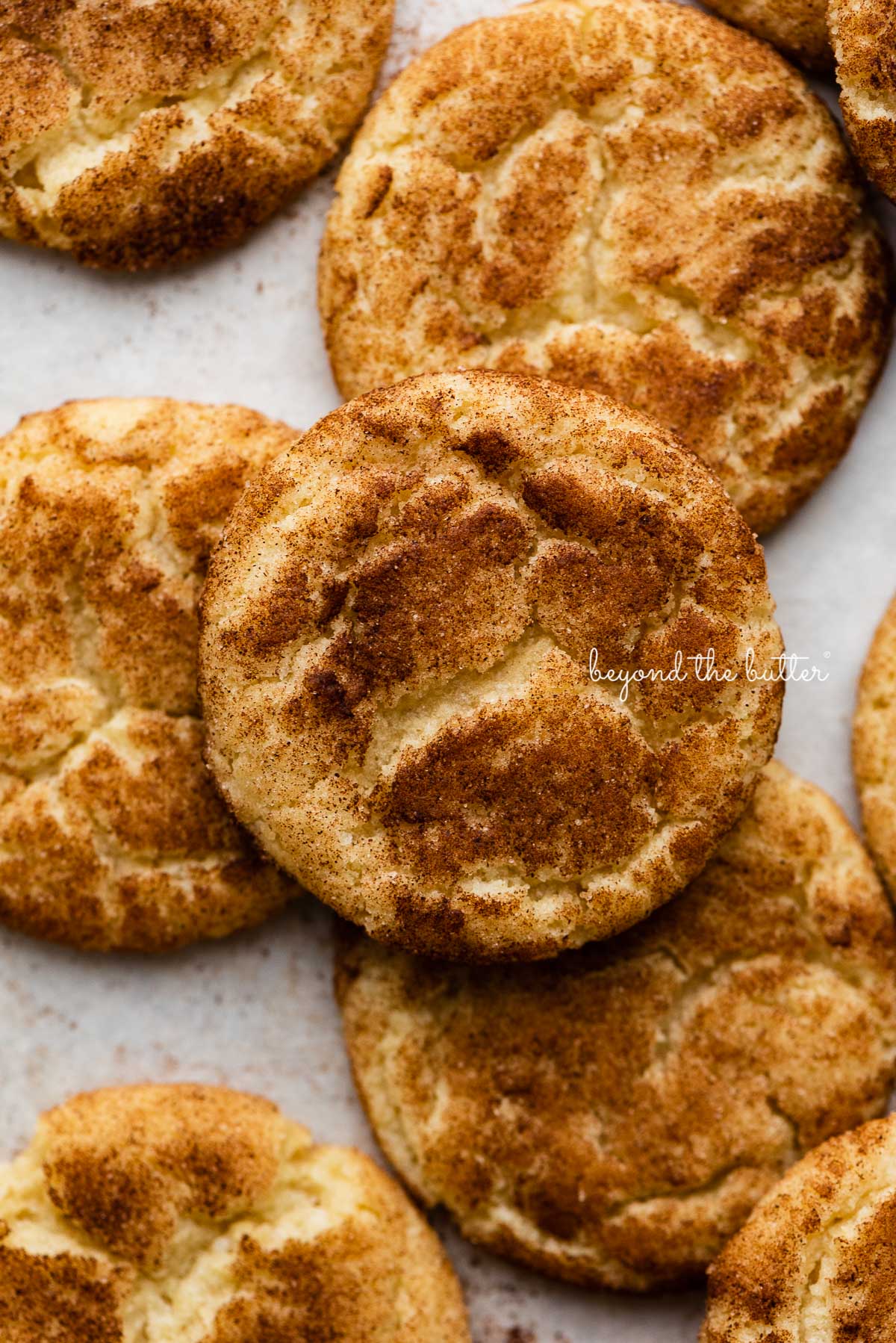 Snickerdoodle cookies on a parchment paper lined baking sheet | © Luyiz®