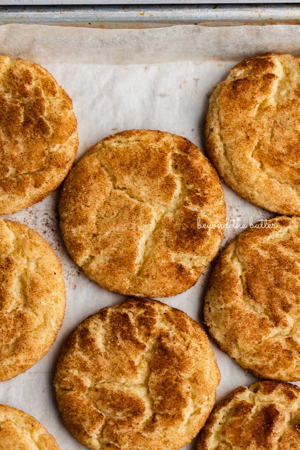 Classic snickerdoodle cookies on a parchment paper lined baking sheet | © Luyiz®