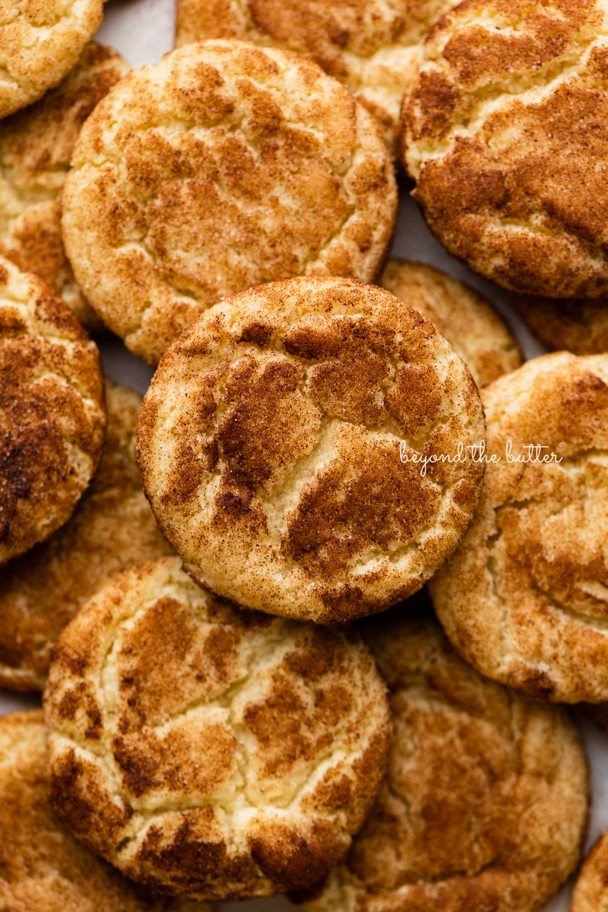 Soft Snickerdoodle Cookies with Cinnamon Sugar