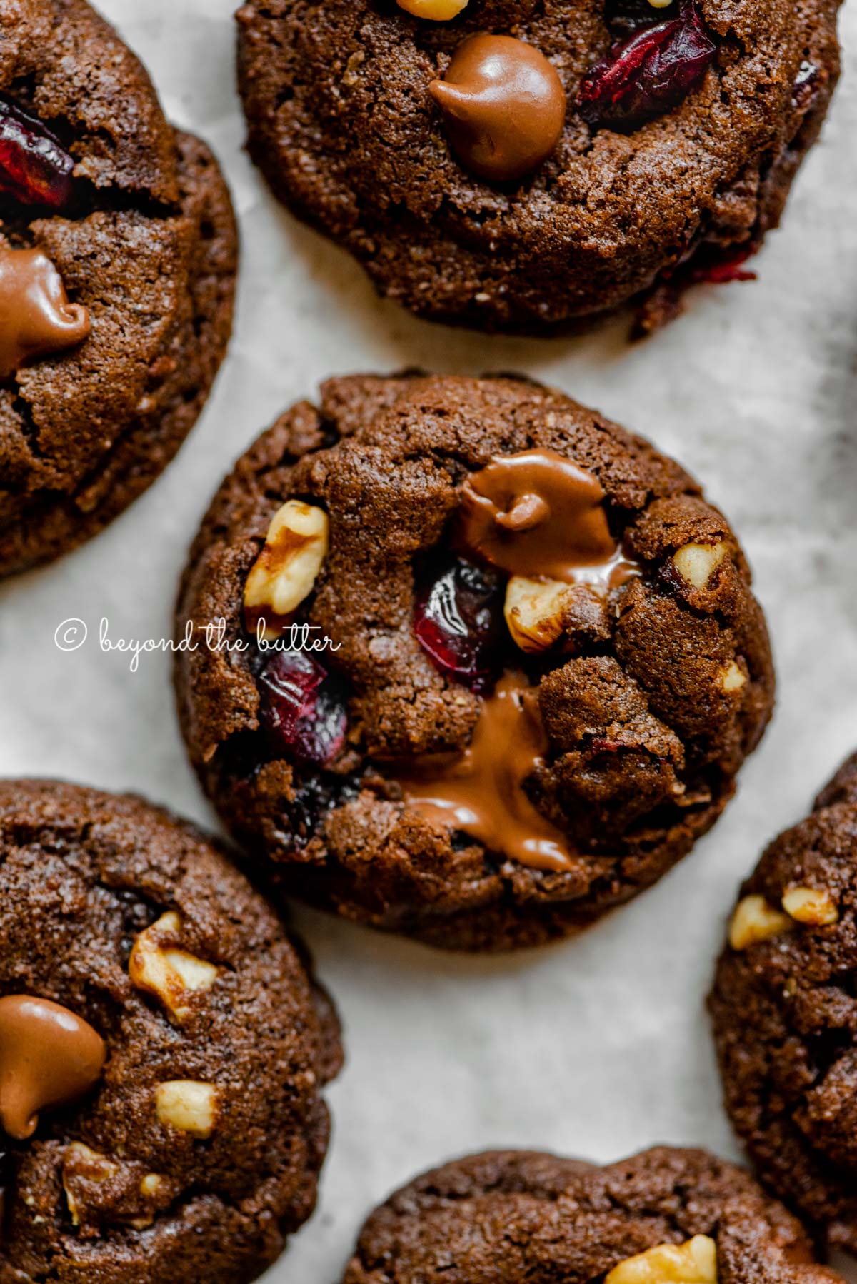 Dark chocolate cranberry walnut cookies on light gray background | All Images © Luyiz®