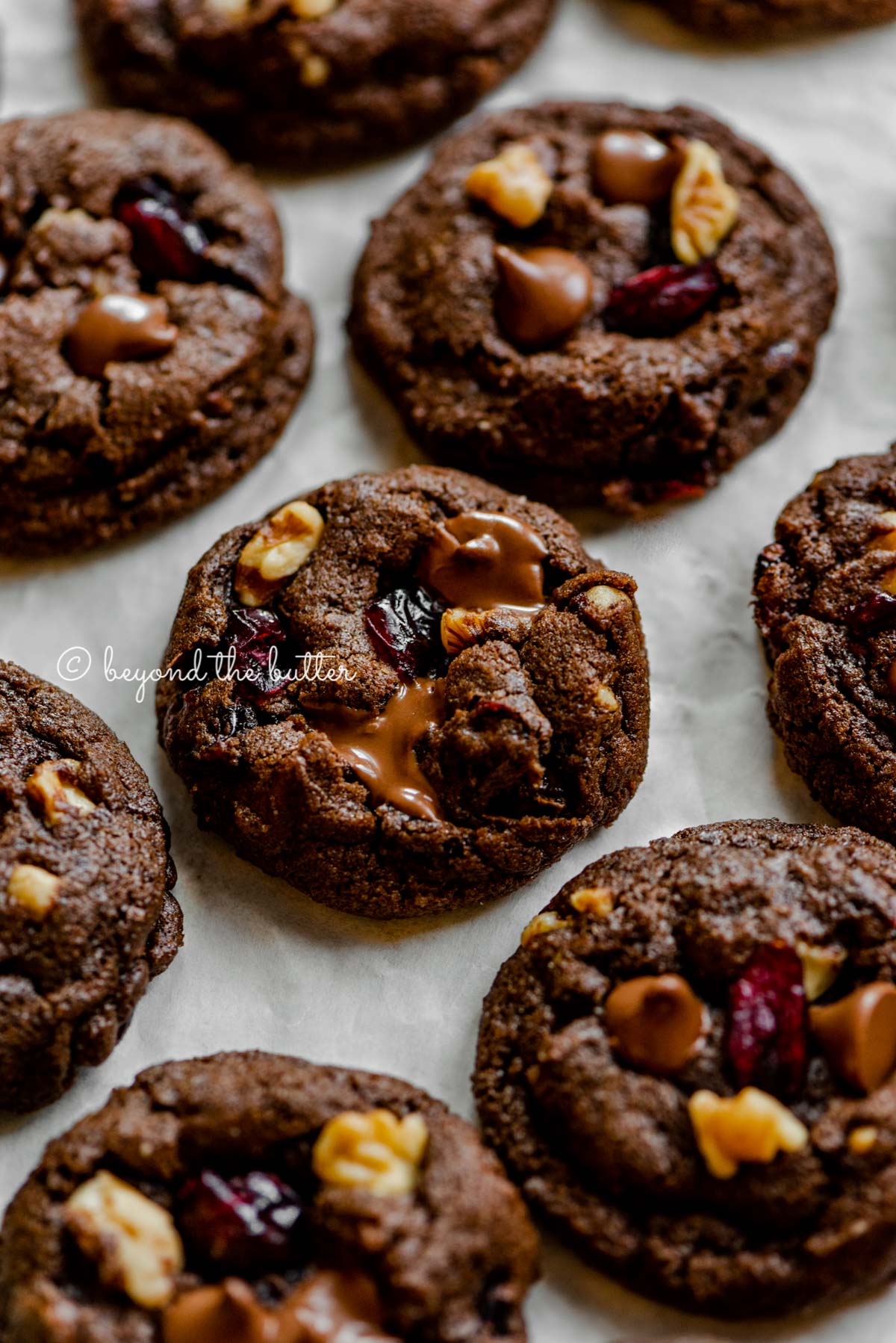 Dark chocolate cranberry walnut cookies on light gray background | All Images © Luyiz®