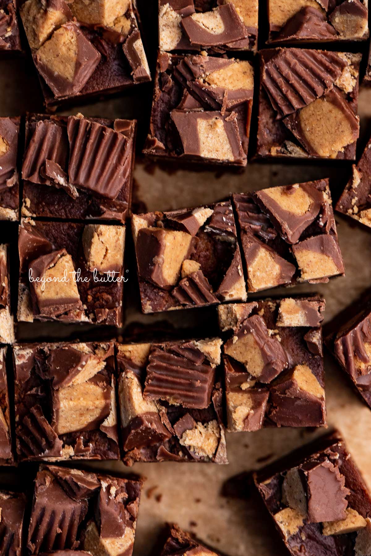 Chocolate peanut butter fudge cut into small 1 inch squares on a sheet of brown parchment paper | © Luyiz®