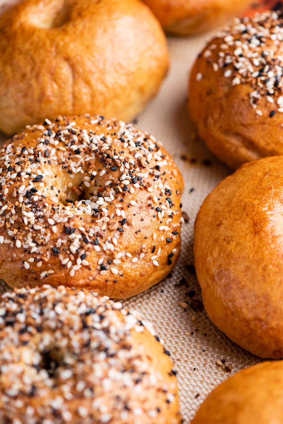 Homemade Bagels Made Easy