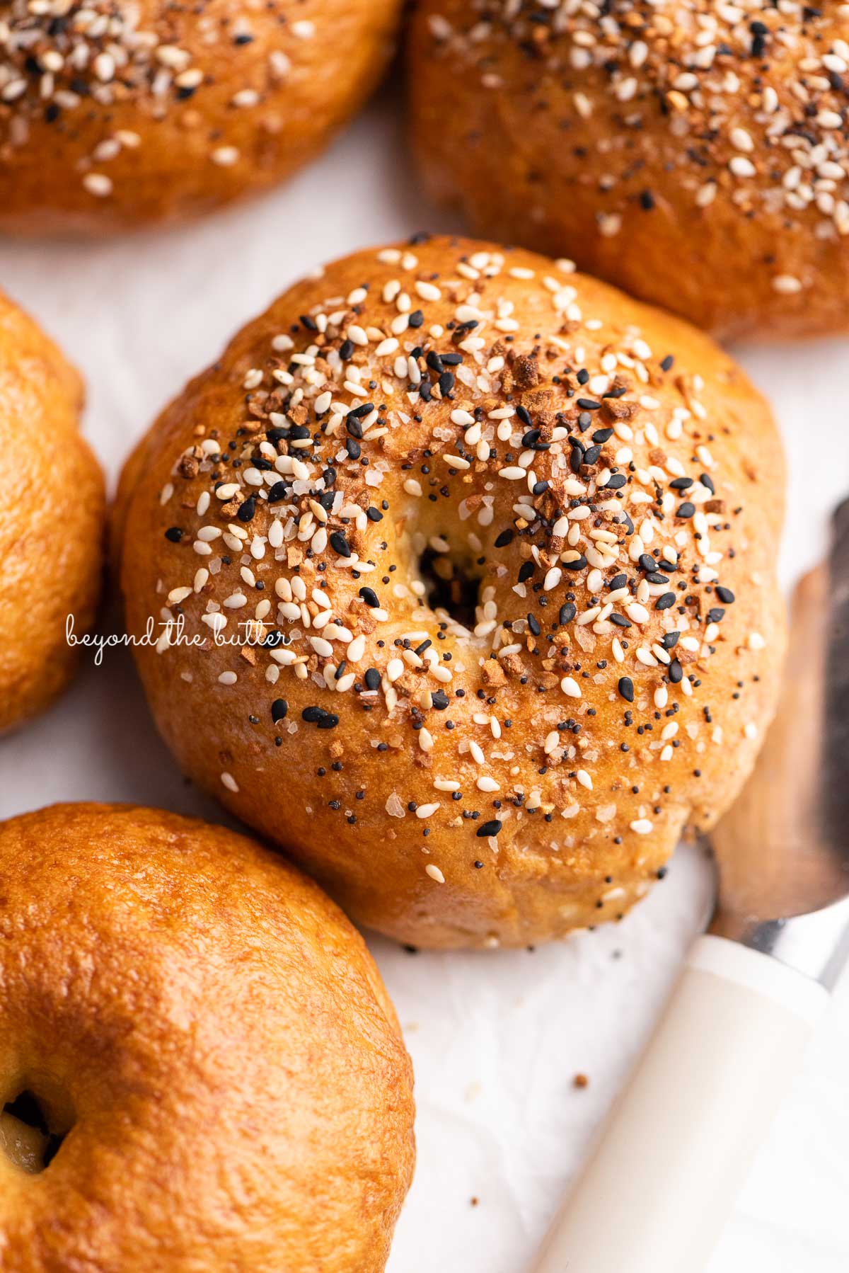 Closeup of easy homemade bagels with everything bagel seasoning on top | © Luyiz®