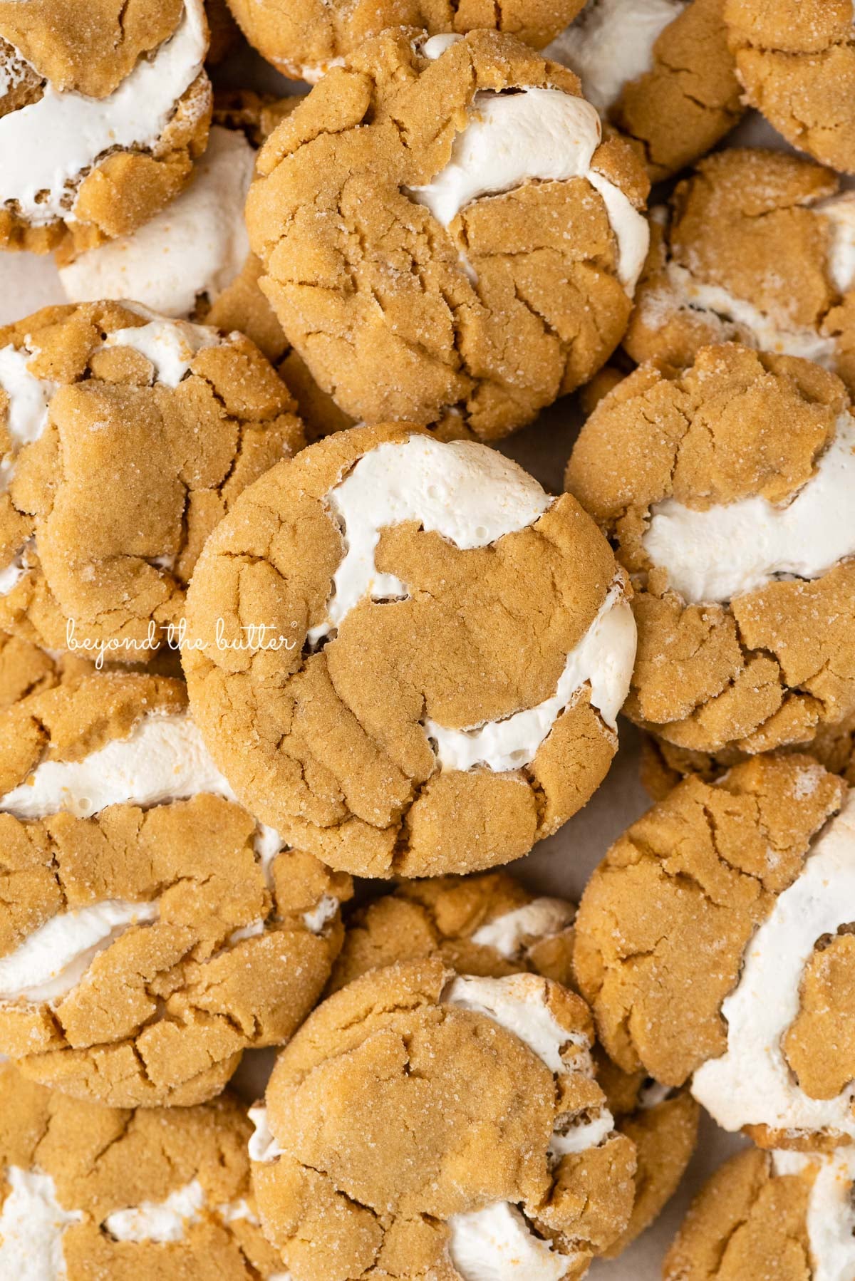Peanut Butter and Marshmallow Fluffernutter Cookies