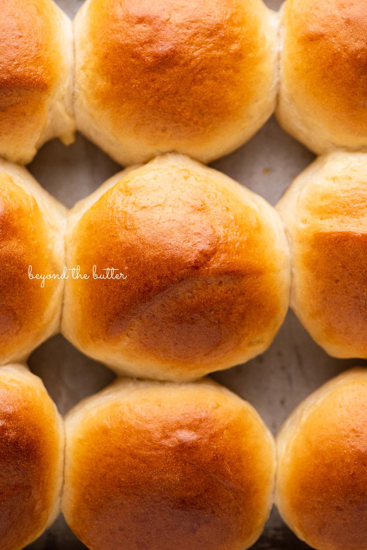 Homemade honey butter dinner rolls brushed with honey butter on a baking sheet | © Luyiz®