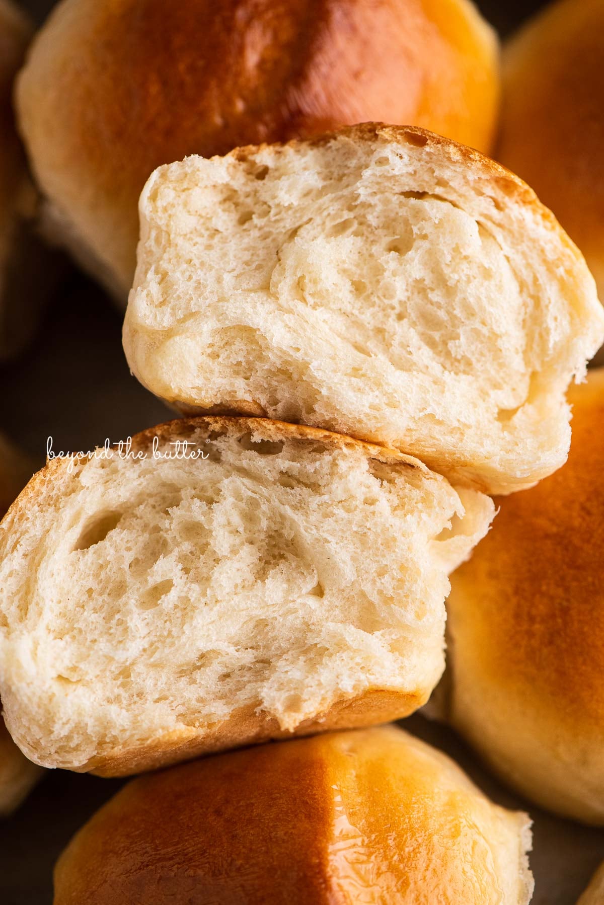 Homemade honey butter dinner rolls with one ripped in half to show the fluffiness | © Luyiz®