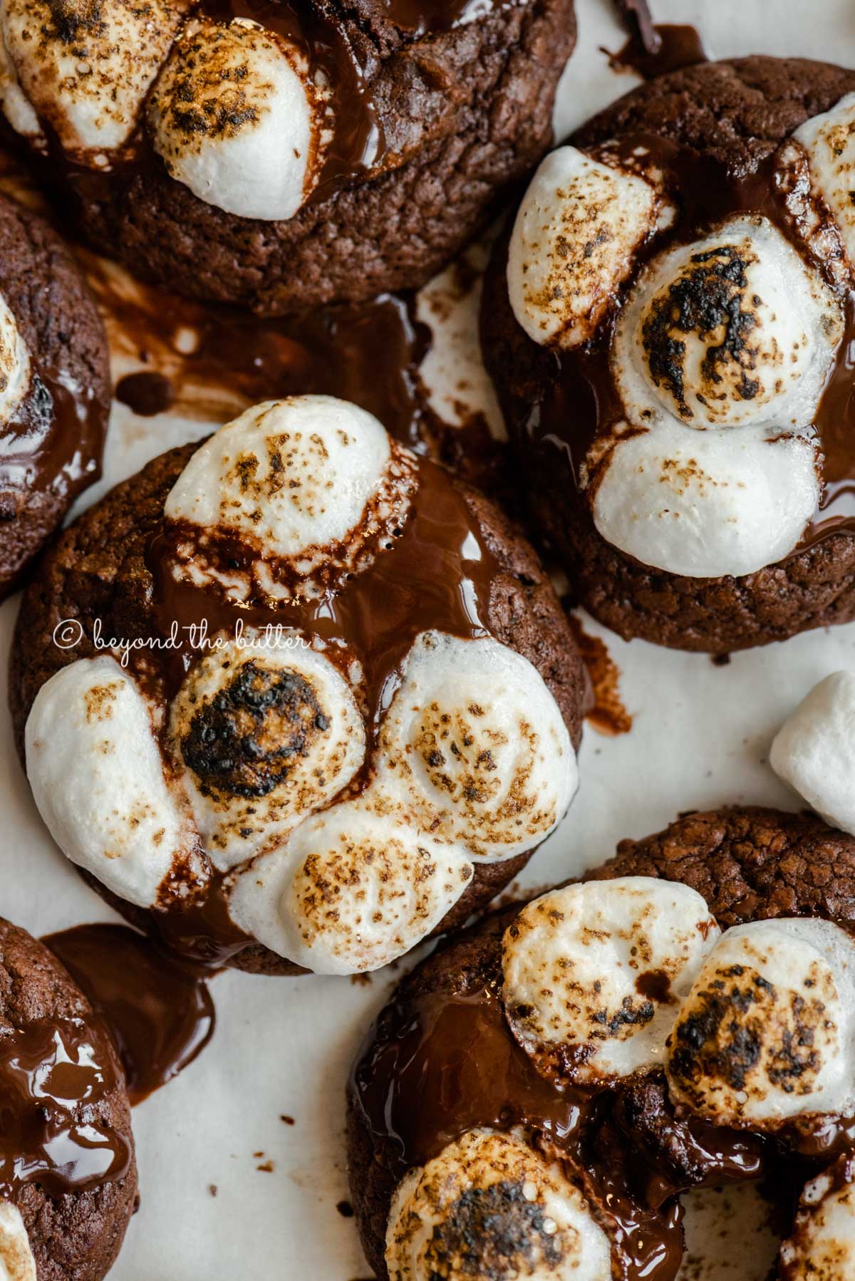 Closeup overhead of hot chocolate mini marshmallow cookies | All Images © Luyiz™