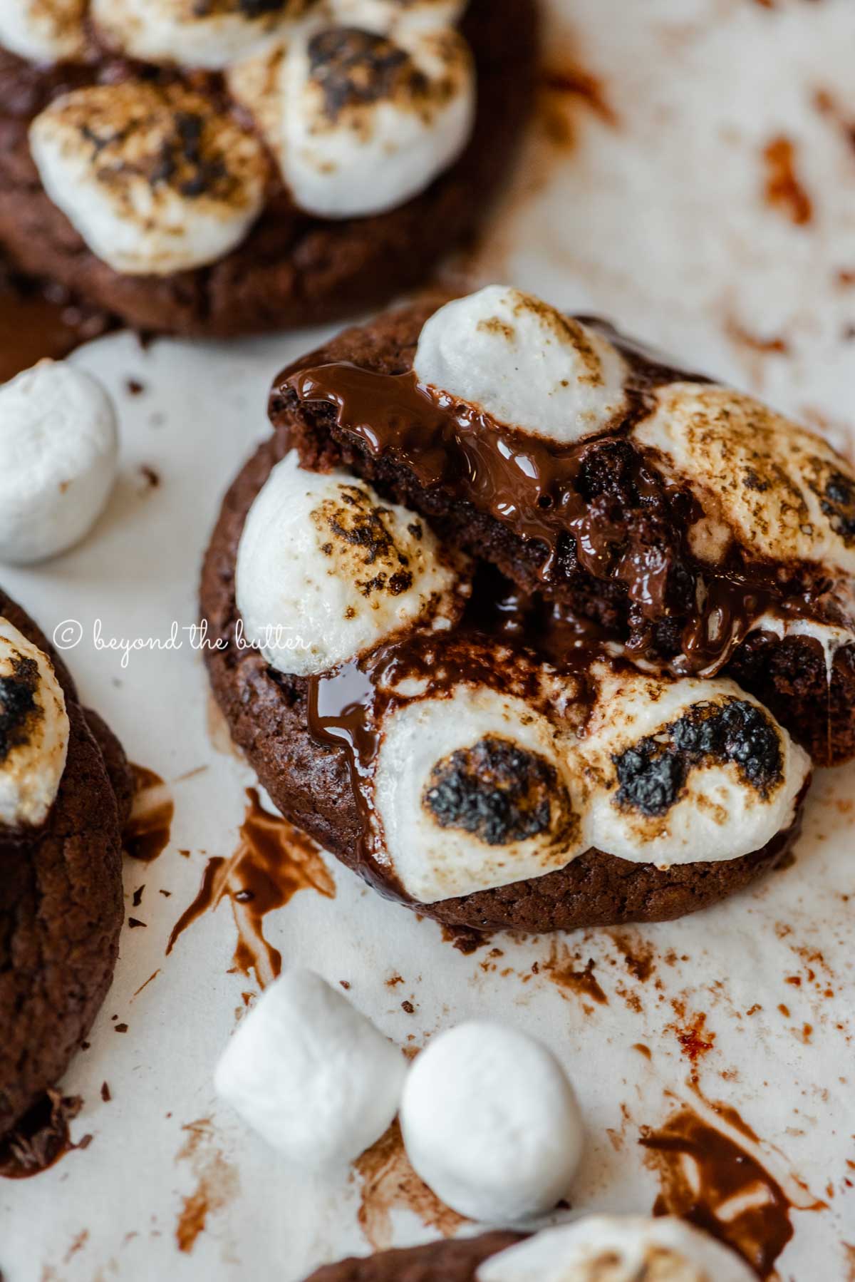 Hot chocolate mini marshmallow cookie pulled apart to see the inside with more cookies around it on white background | All Images © Luyiz™