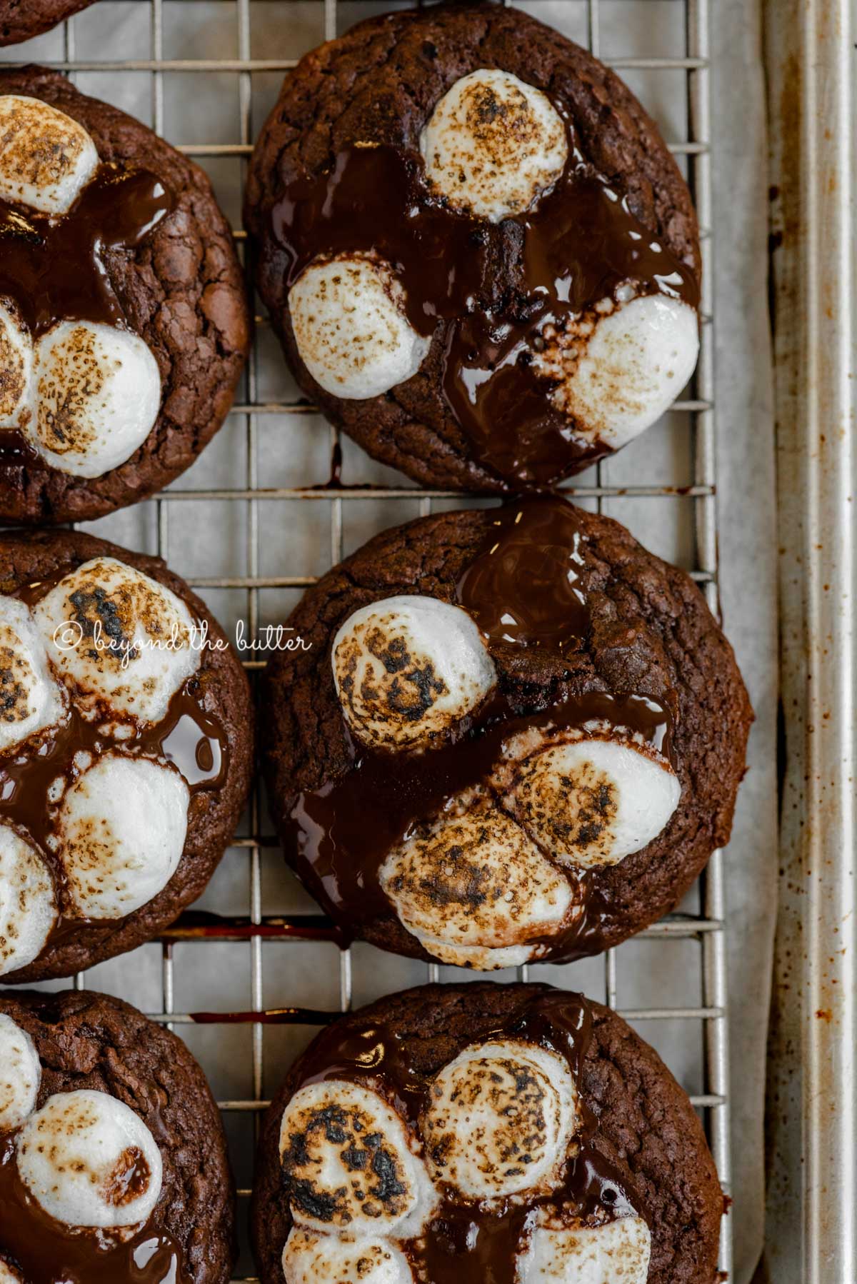 Closeup overhead image of hot chocolate mini marshmallow cookies on a cooling rack lined baking sheet | All Images © Luyiz™