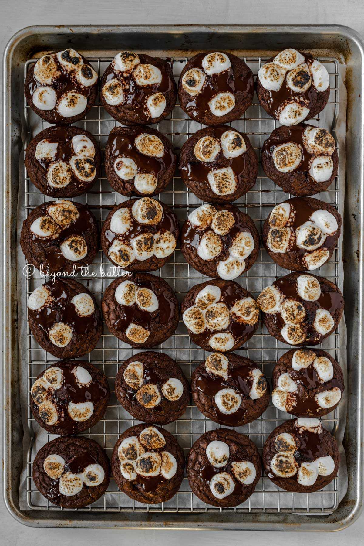 Overhead image of hot chocolate mini marshmallow cookies on a cooling rack lined baking sheet | All Images © Luyiz™