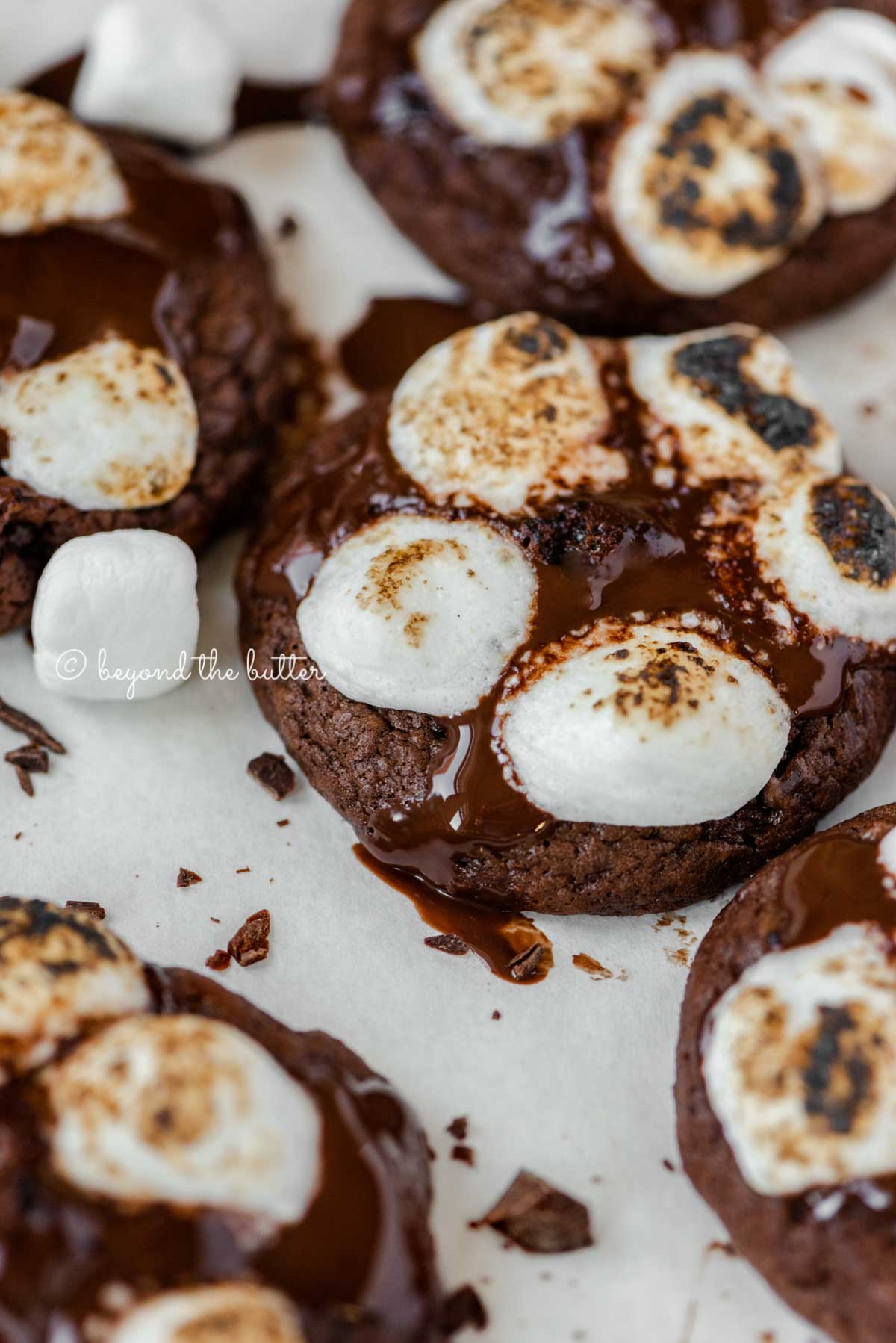 Angled image of hot chocolate mini marshmallow cookies on white background | All Images © Luyiz™
