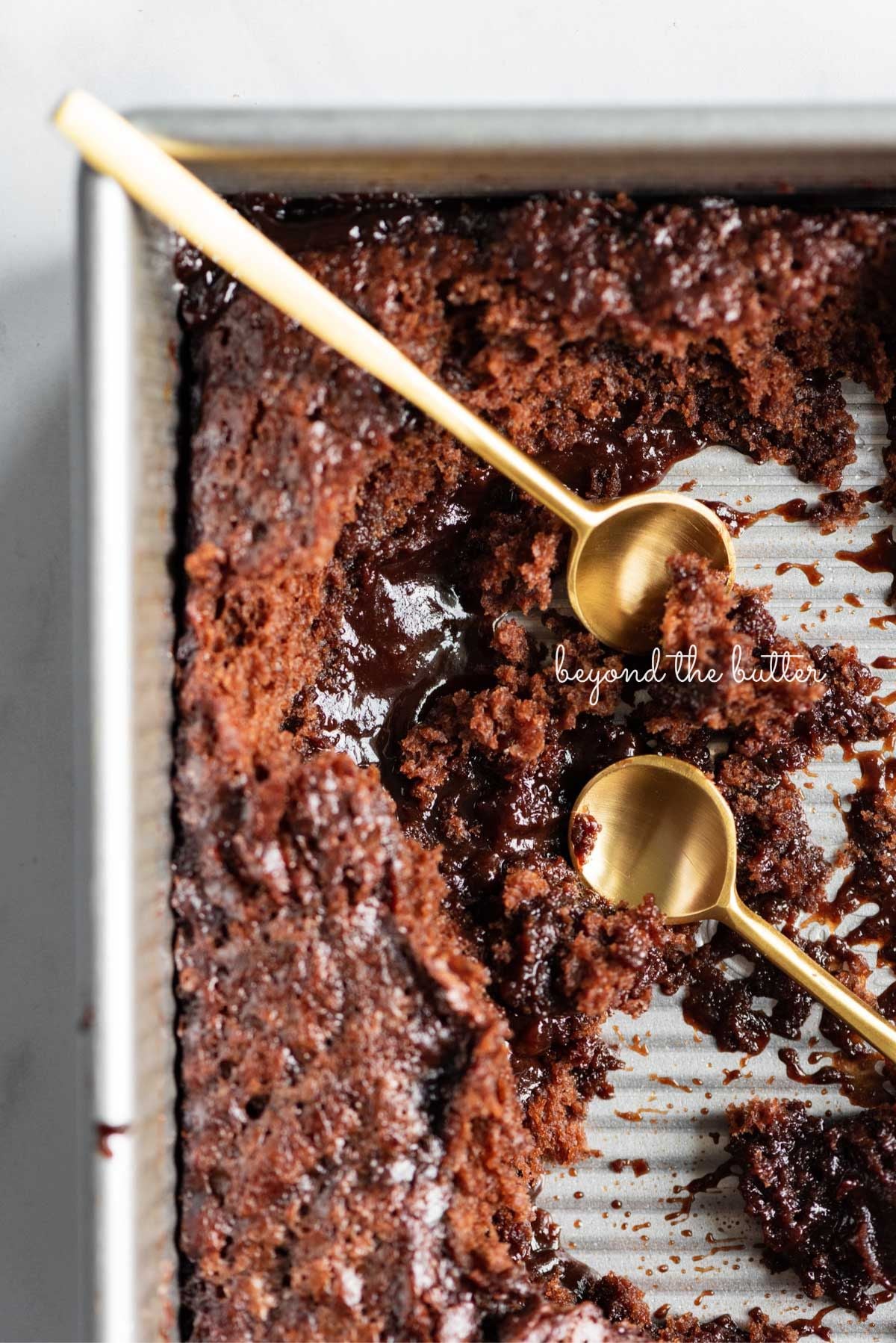 Fudgy Hot Fudge Chocolate Pudding Cake