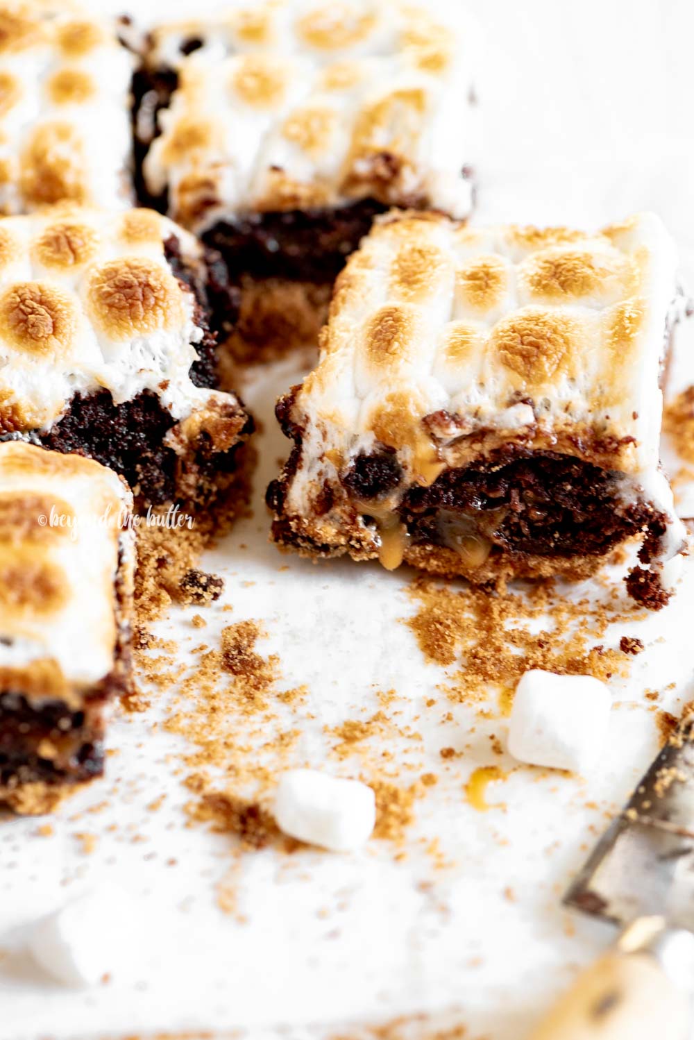 Classic S'mores Brownies | All Images © Luyiz, LLC