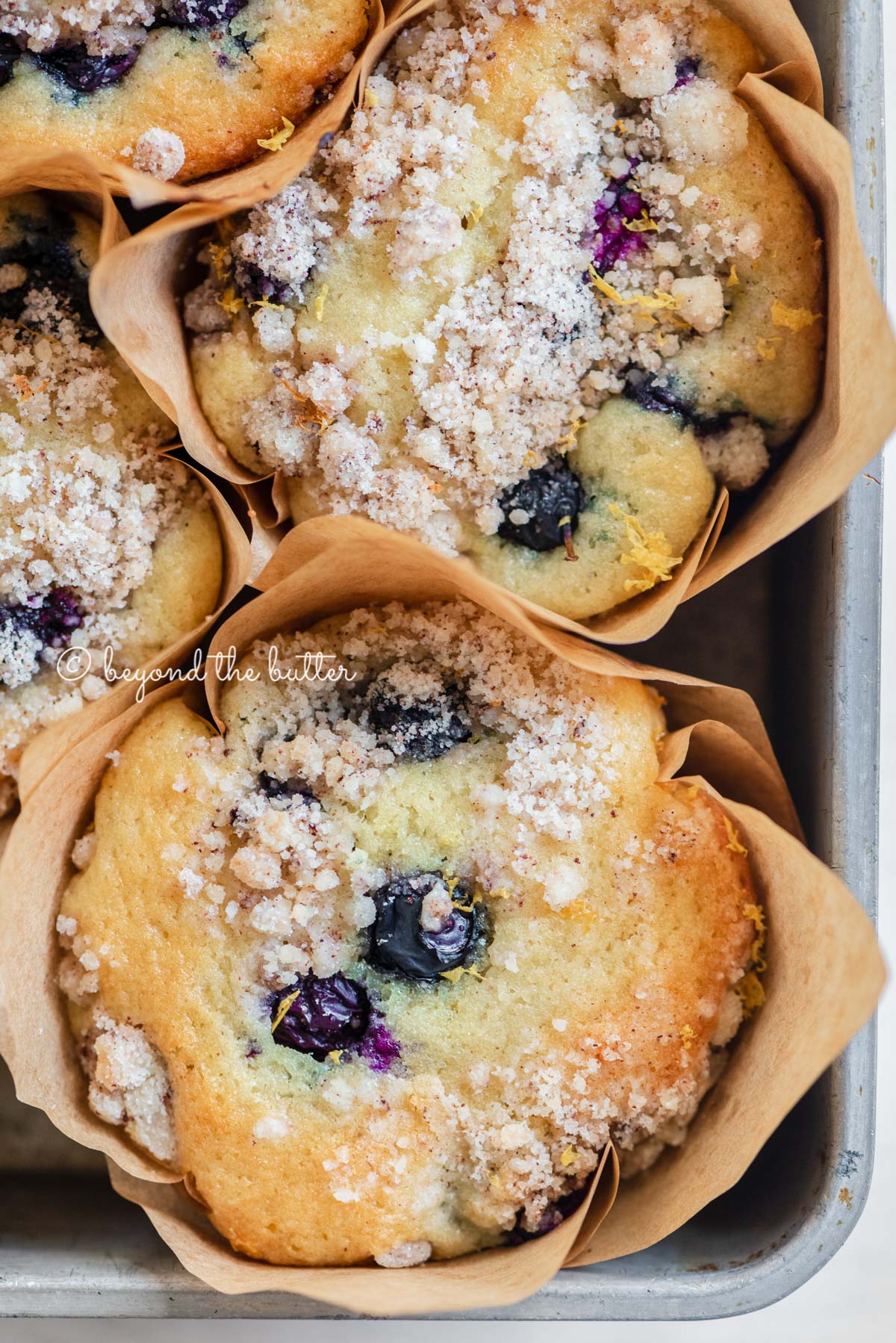Baking tray filled with bakery style lemon blueberry muffins garnished with slices of lemons and blueberries | All images © Luyiz®