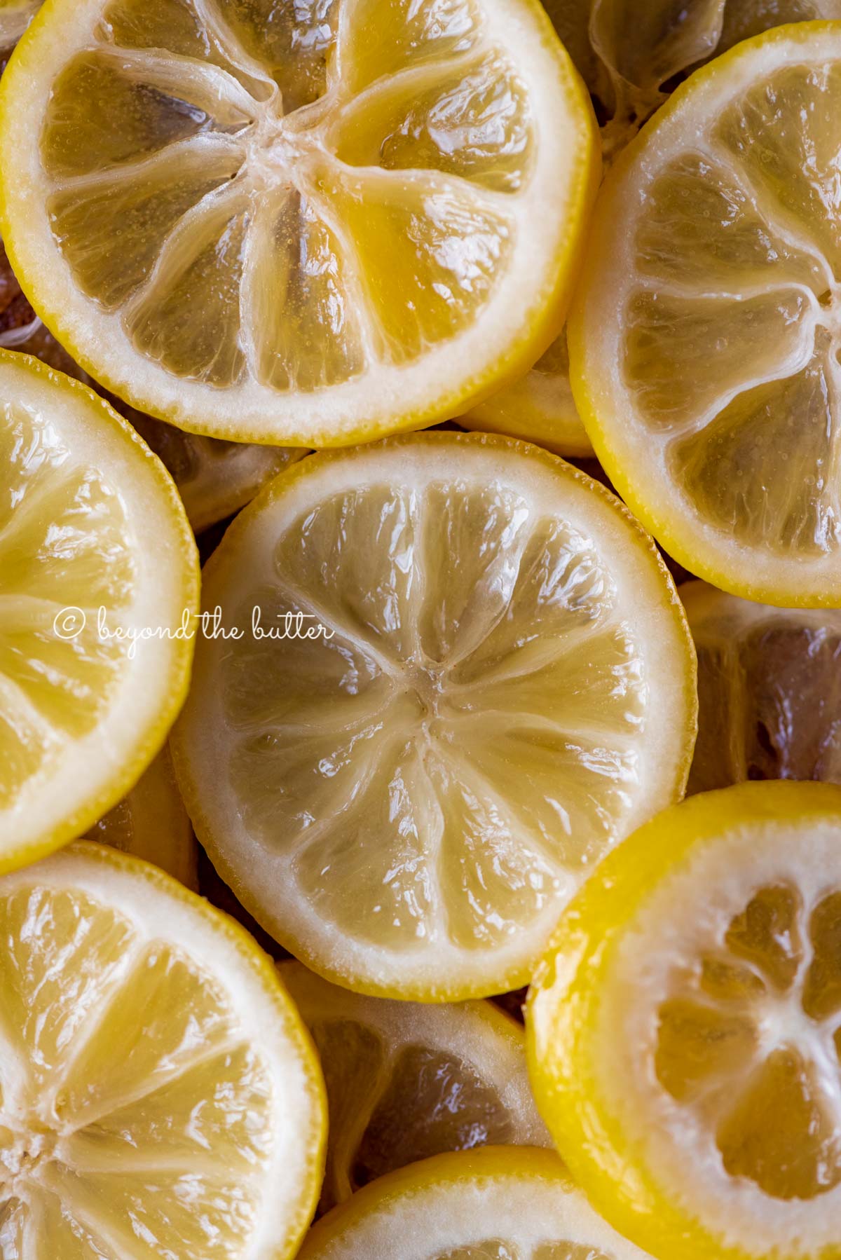 Close up of candied lemon slices | All Images © Luyiz®