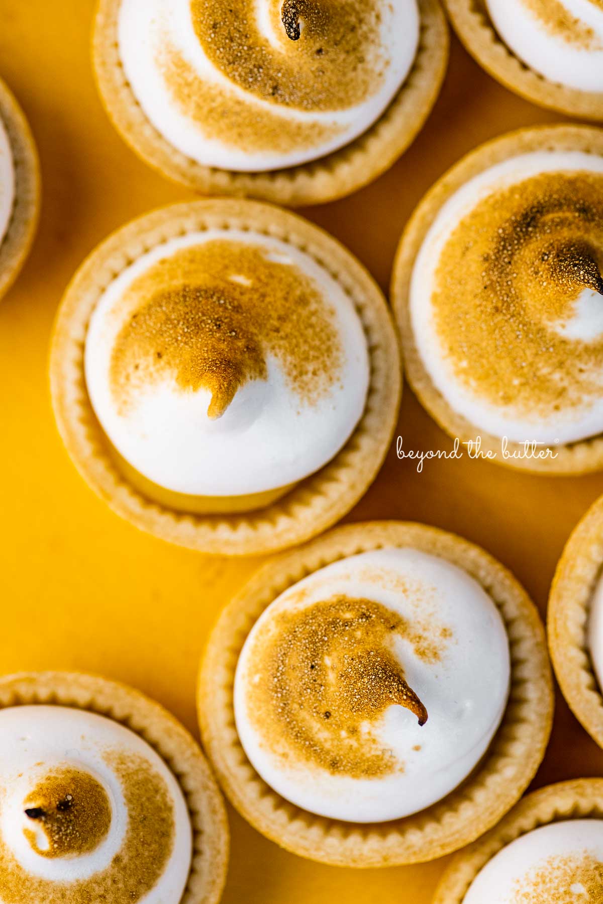 Mini Lemon Meringue Pies with Torched Meringue Tops