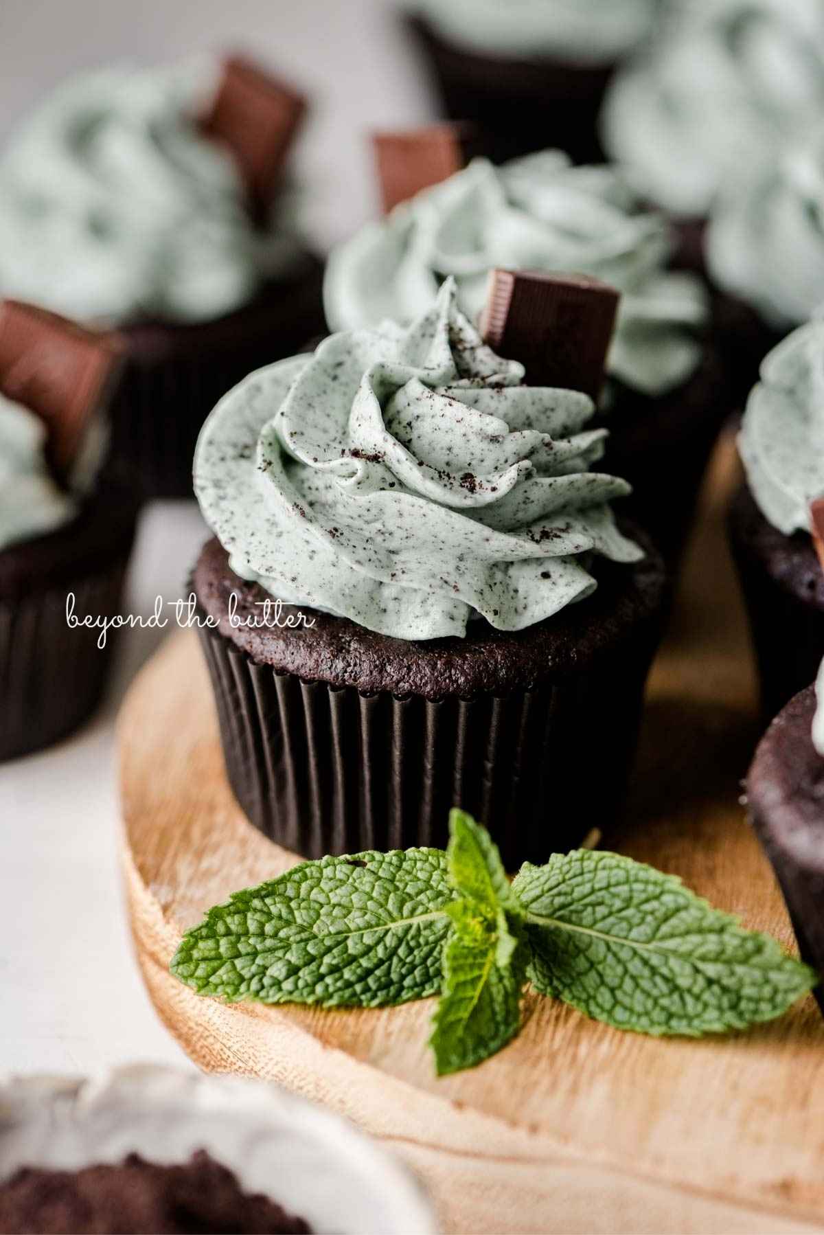 Mint Chocolate Cupcakes with Ganache Center