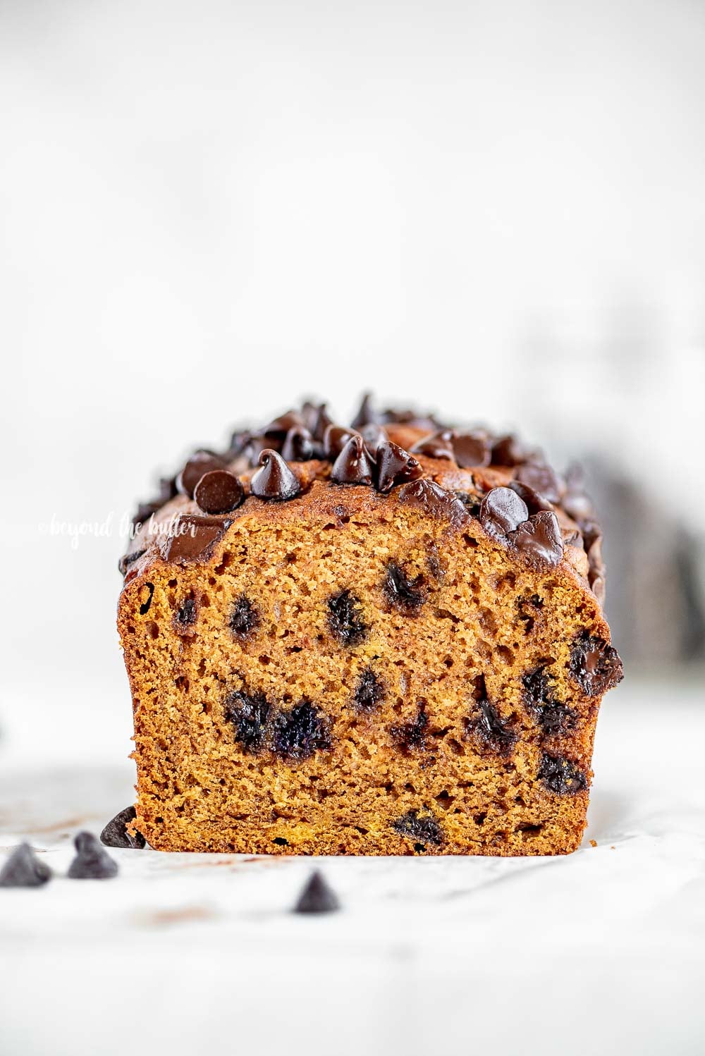 One Bowl Chocolate Chip Pumpkin Bread | All Images © Luyiz, LLC