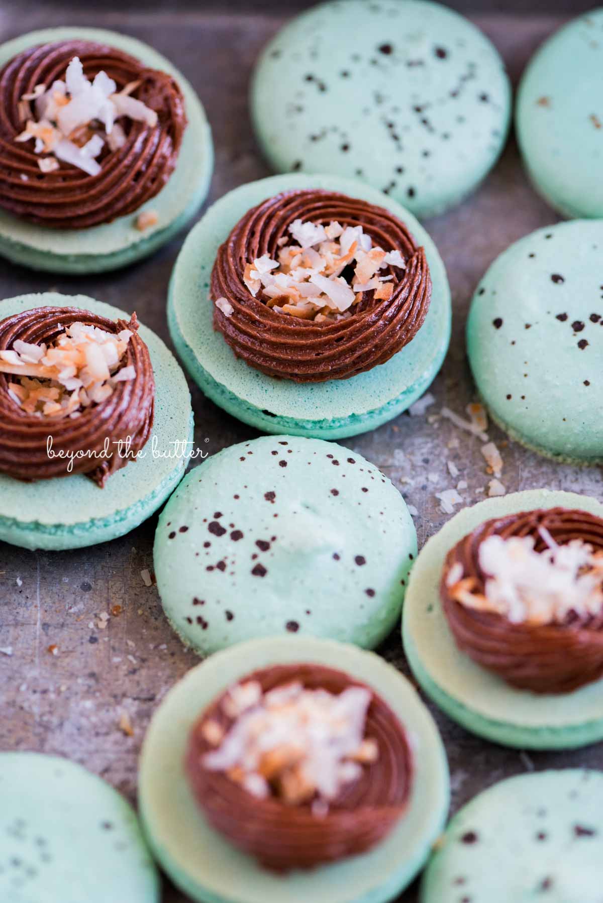 Robin's egg macarons opened and half filled with milk chocolate frosting and toasted coconut flakes in a vintage bake pan | All images © Luyiz®