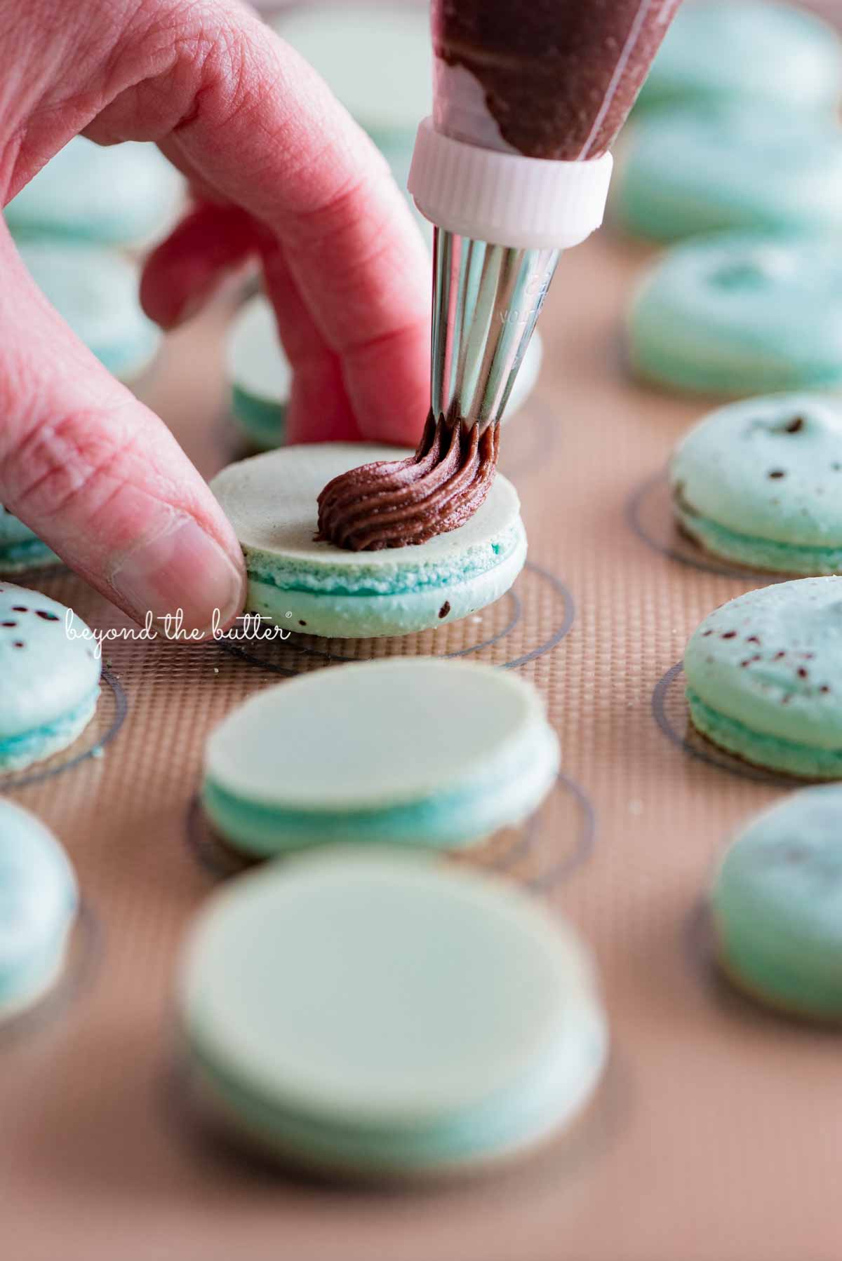 Piping milk chocolate frosting onto robin's egg macaron shells from Luyiz | All images © Luyiz®
