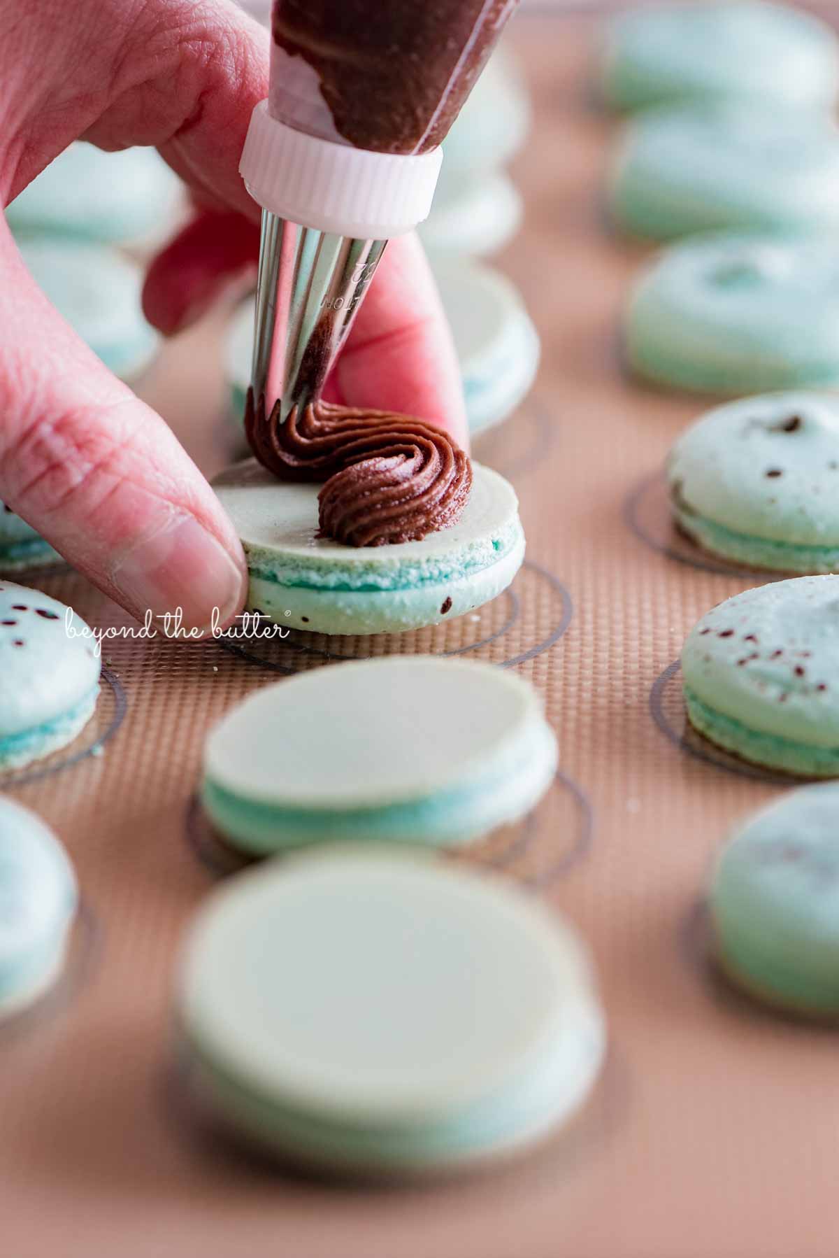 Piping milk chocolate frosting onto robin's egg macaron shells from Luyiz | All images © Luyiz®