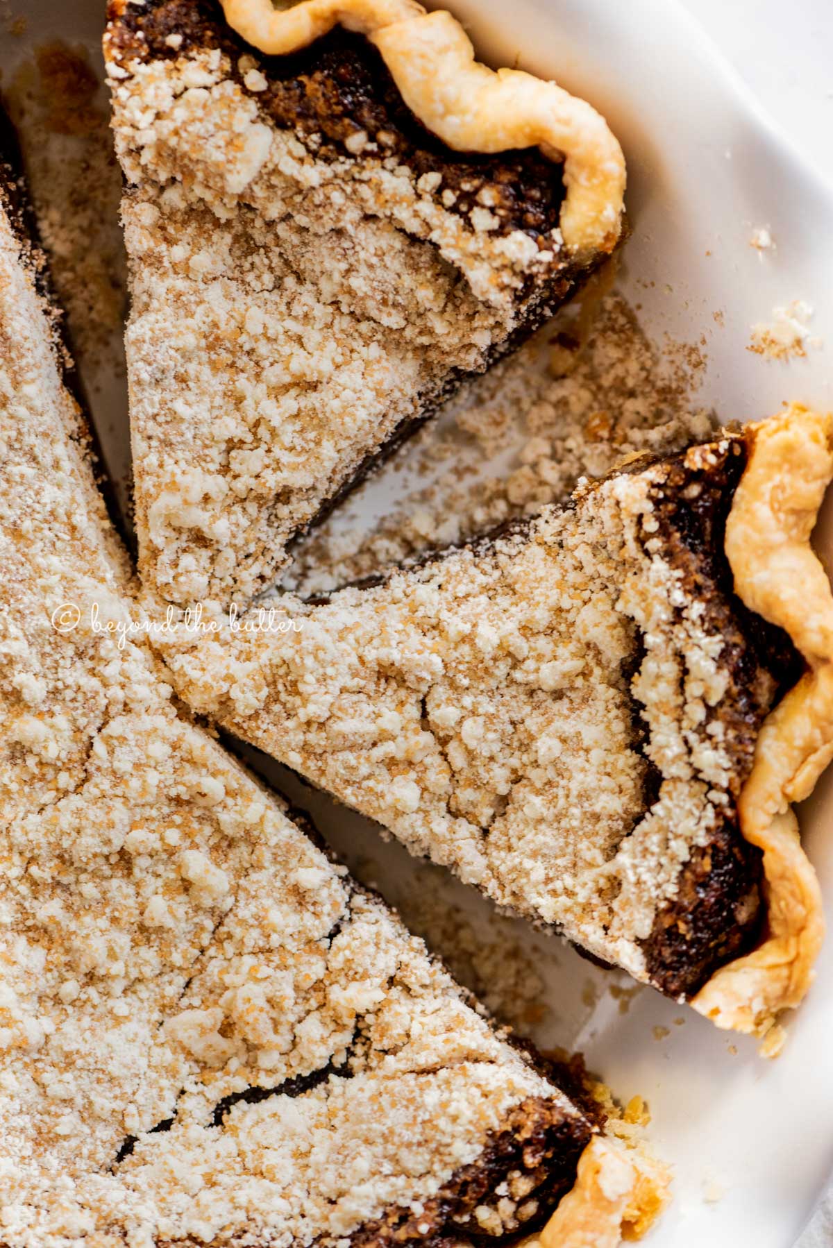 Overhead close up image of pennsylvania dutch shoo fly pie with slices removed | All Images © Luyiz™