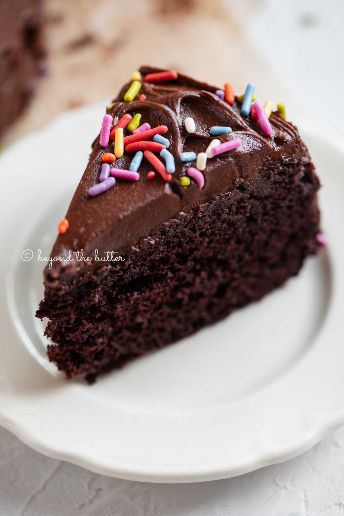 Angled closeup image of single slice of 6 inch chocolate cake on white dessert plate | All Images © Luyiz®