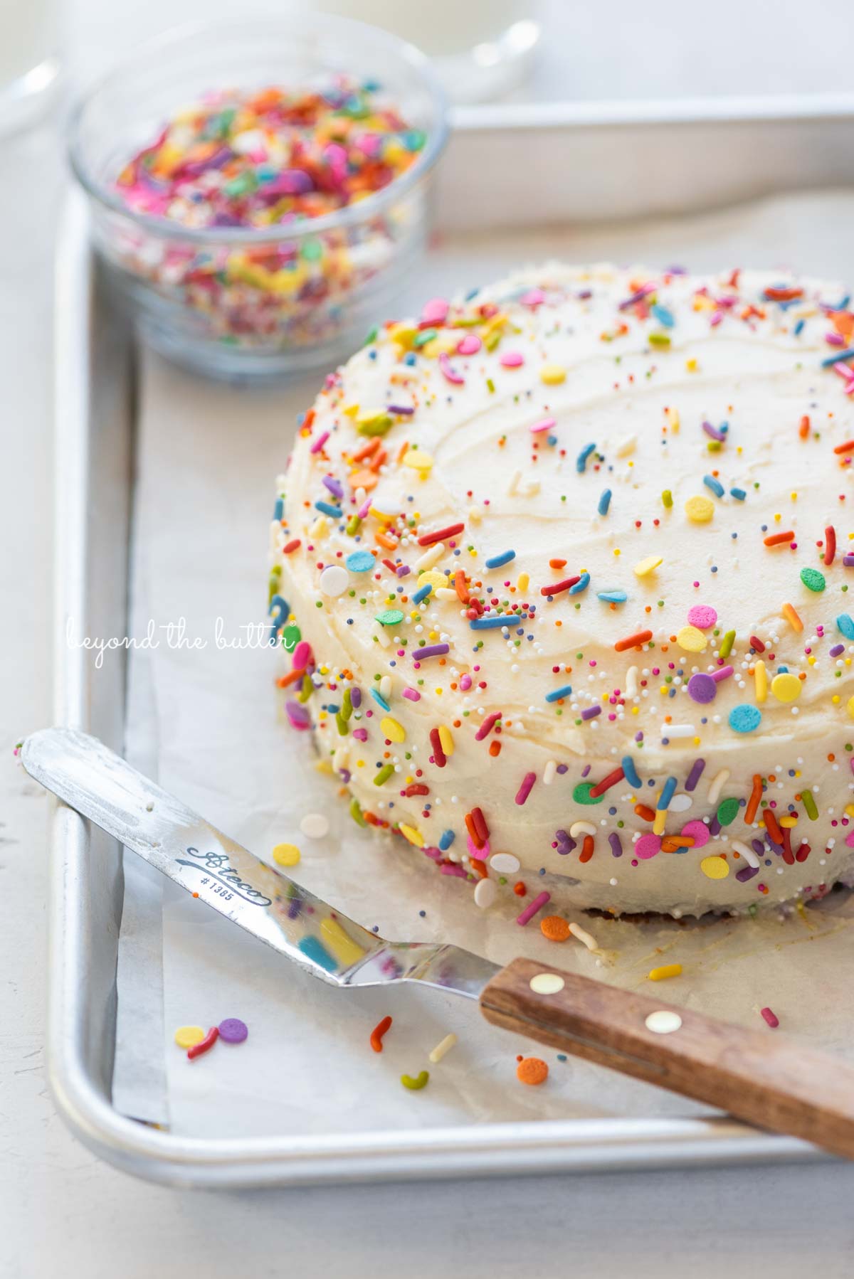 Single layer funfetti cake just frosted and sprinkled from Luyiz | All images © Luyiz®