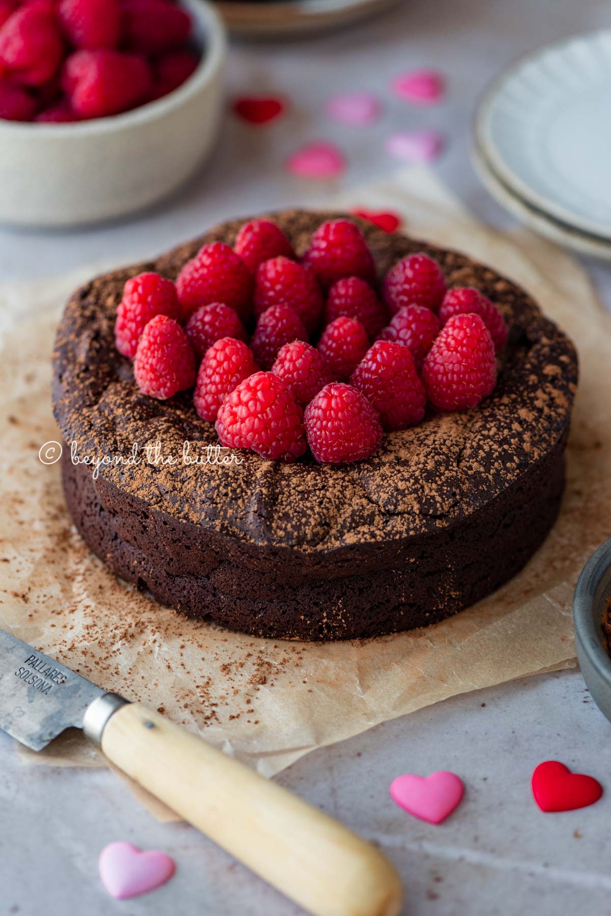 Small flourless chocolate cake topped with cocoa powder and fresh raspberries on parchment paper | All images © Luyiz®