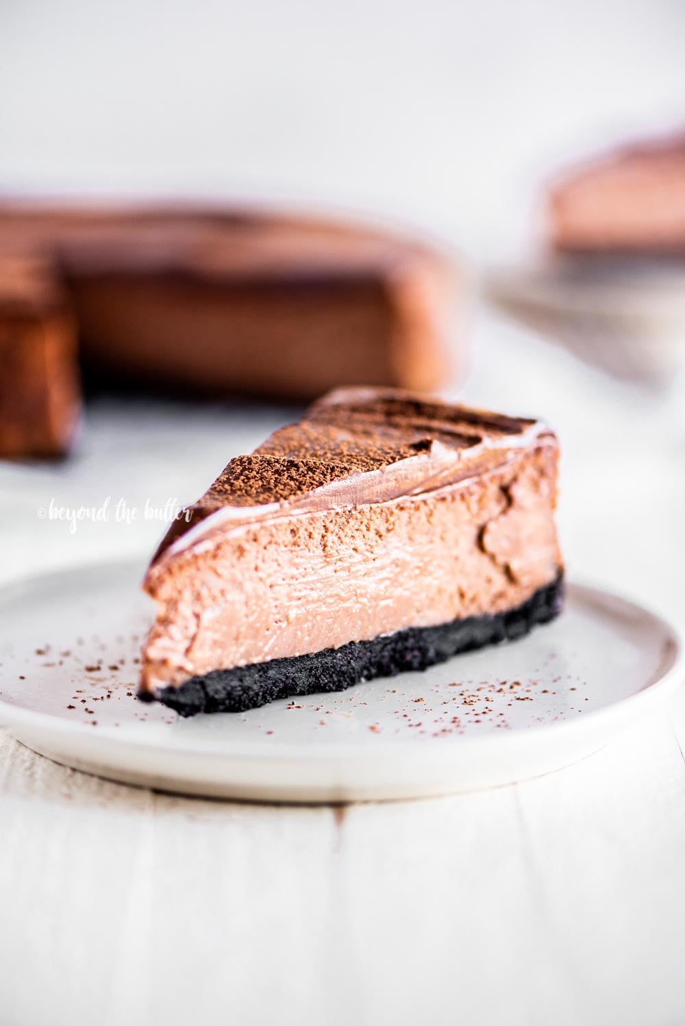 Single slice of Triple Chocolate Mocha Cheesecake dusted with cocoa | All Images © Luyiz, LLC