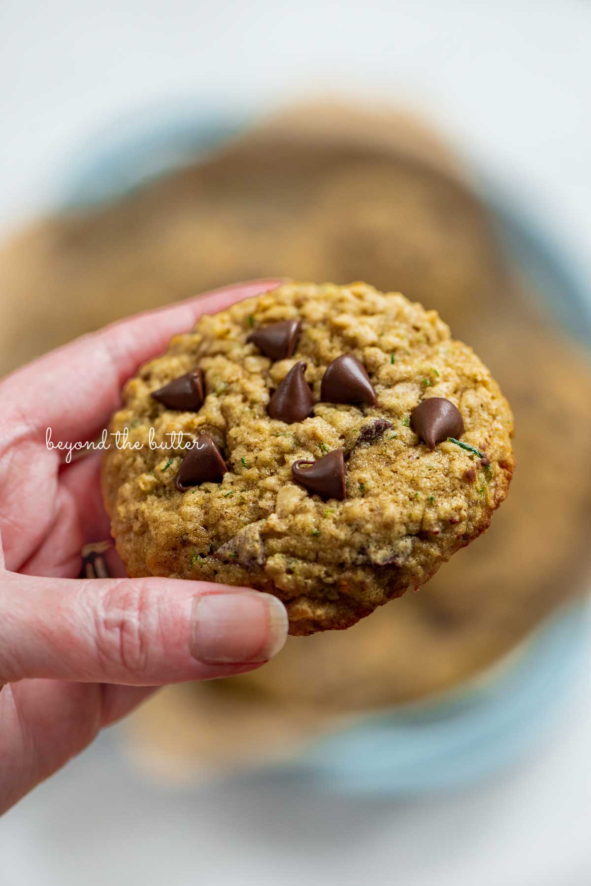 Hand holding a zucchini chocolate chip oatmeal cookies with a blurred plate of more cookies in the background | © Luyiz®