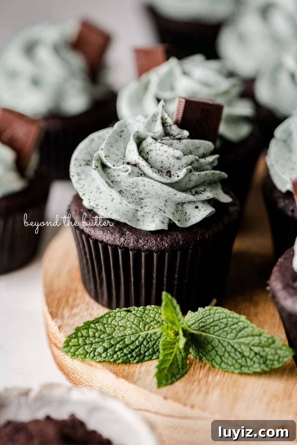 featured 10534