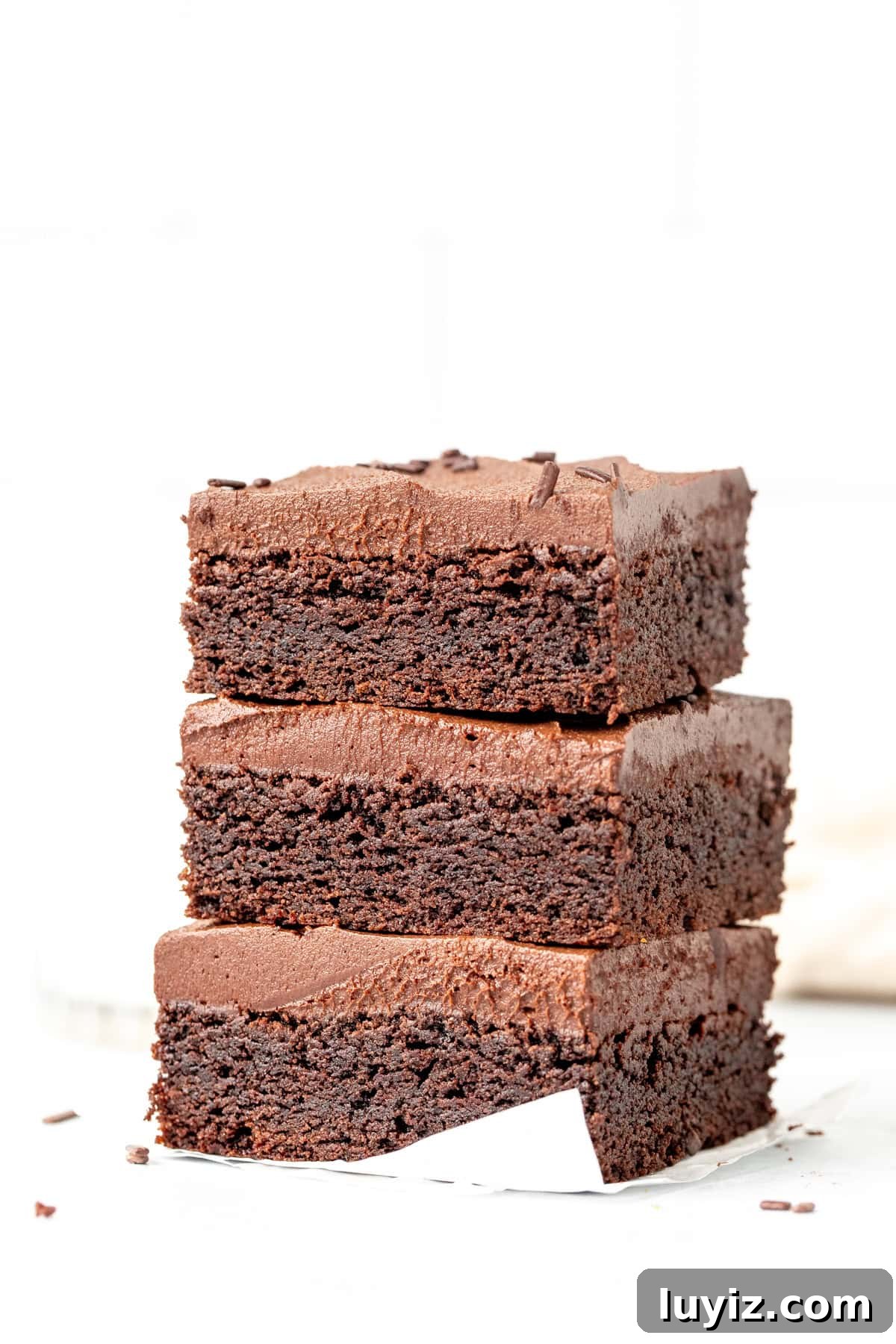 featured 21797