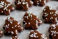 Chocolate-Dipped Graham Cracker Cookies with Sea Salt