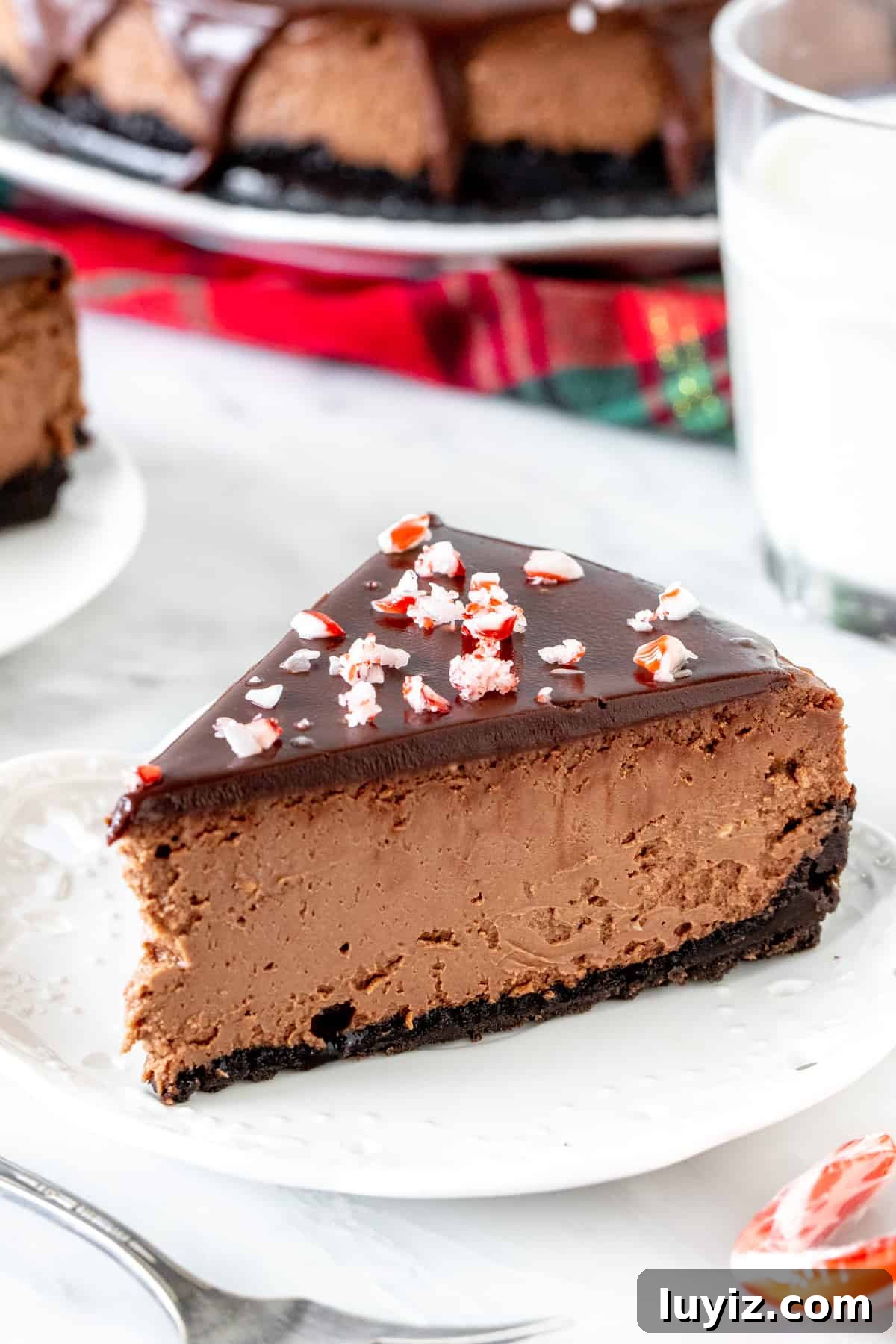 Chocolate Peppermint Cheesecake Recipe for the Holidays 2 Slice of chocolate peppermint cheesecake