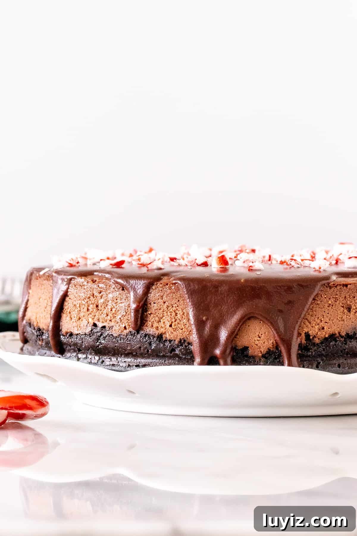 Chocolate Peppermint Cheesecake Recipe for the Holidays 3 Chocolate cheesecake with chocolate on top and crushed candy canes.